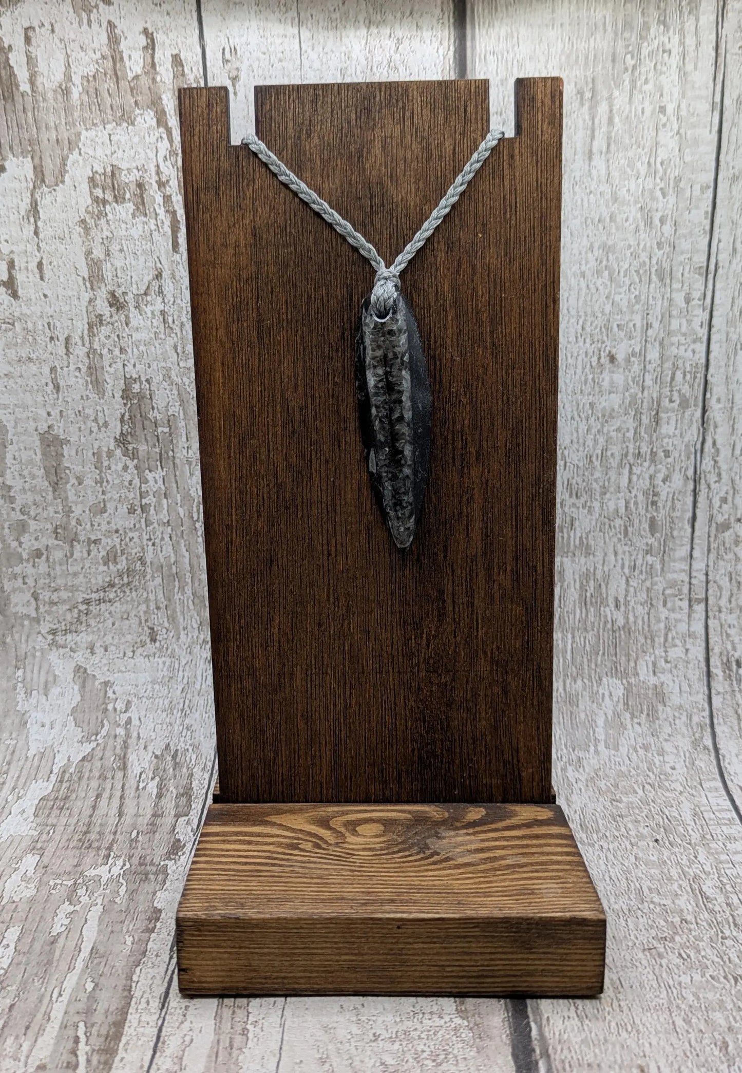 Polished Orthoceras Fossil Pendant – Ancient Cephalopod Fossil from Morocco | 400 Million Year Old Natural History Gift
