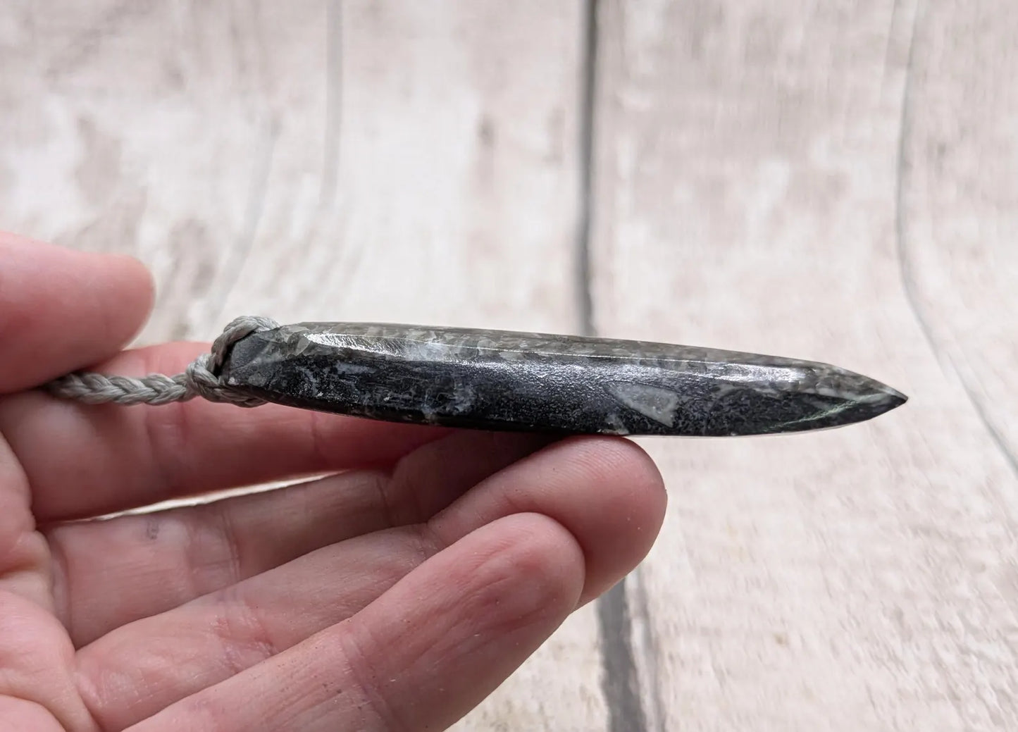 Polished Orthoceras Fossil Pendant – Ancient Cephalopod Fossil from Morocco | 400 Million Year Old Natural History Gift