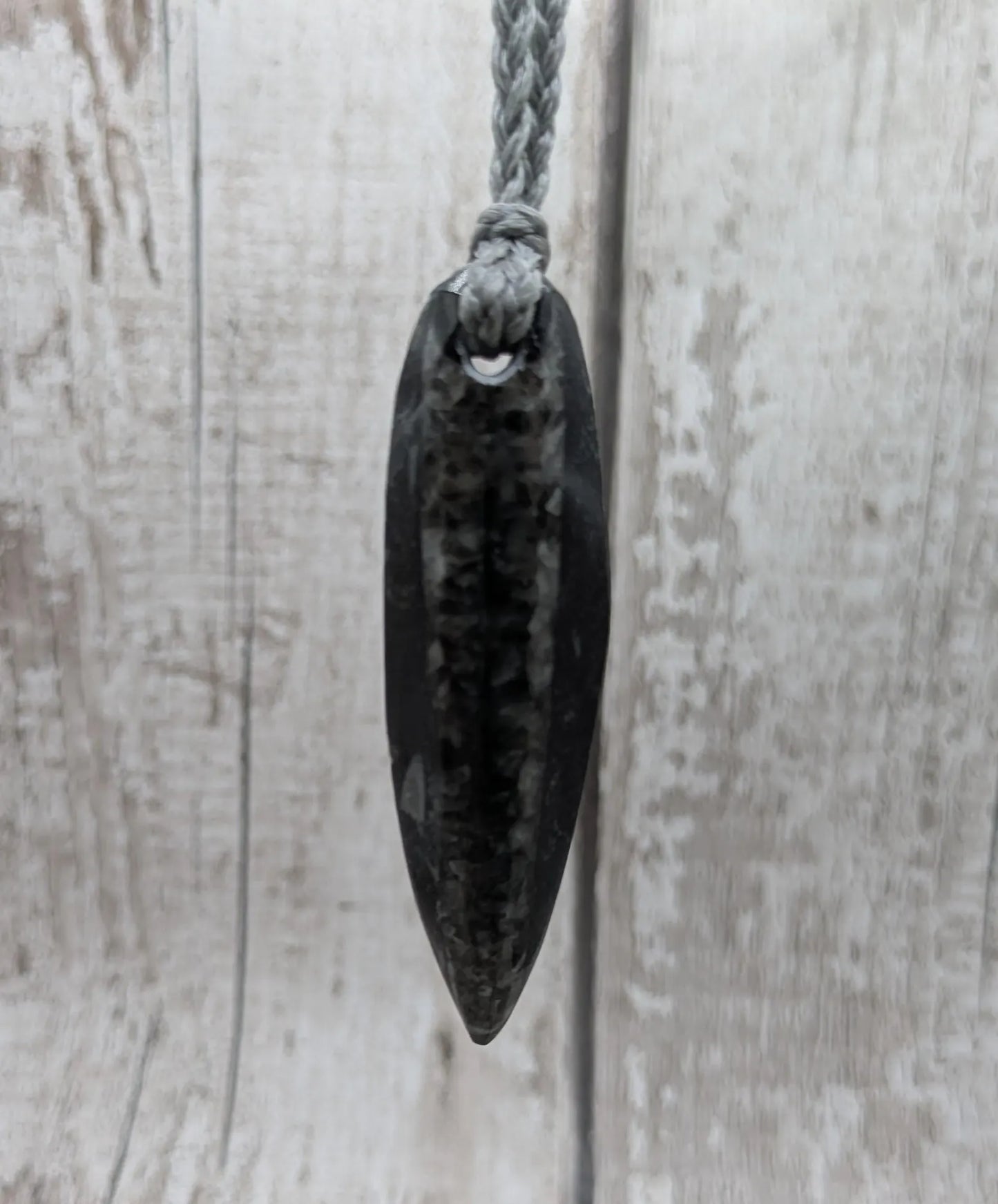 Polished Orthoceras Fossil Pendant – Ancient Cephalopod Fossil from Morocco | 400 Million Year Old Natural History Gift
