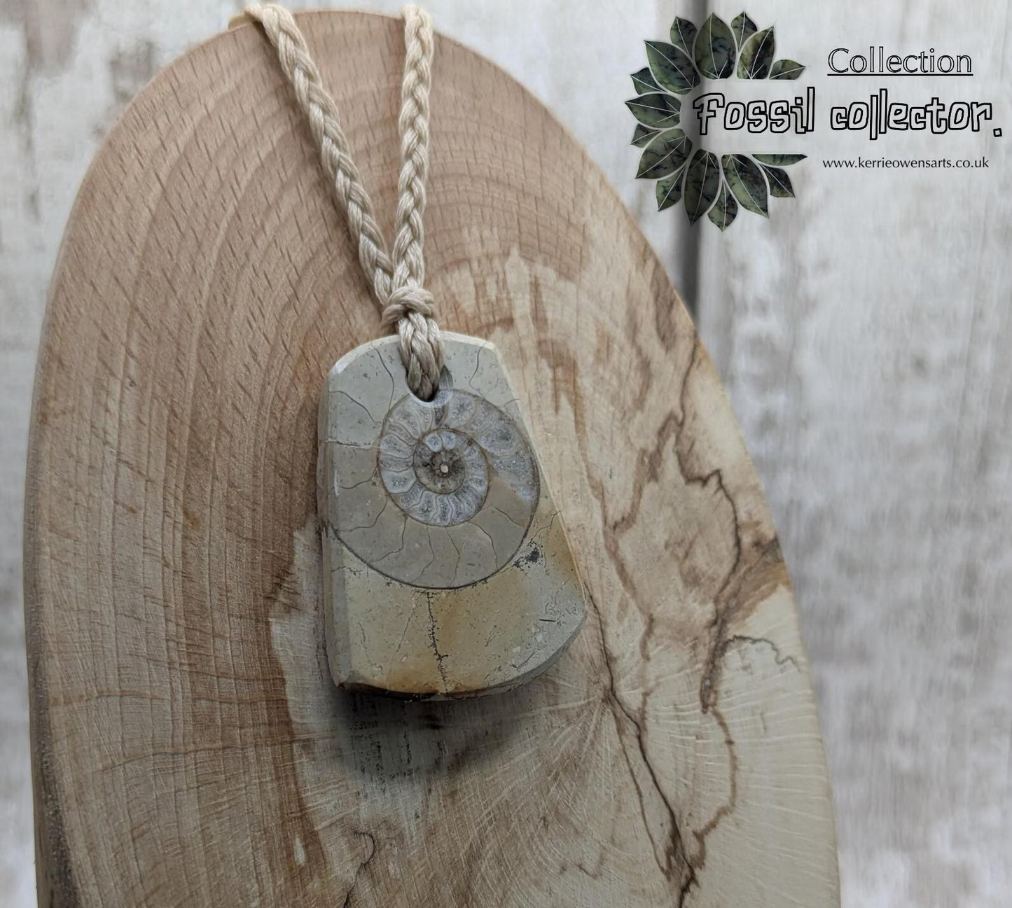 Jurassic Charmouth Ammonite Pendant – Calcite-Crystal in Limestone Fossil Necklace - Natural history - Fibonacci sequence amulet.