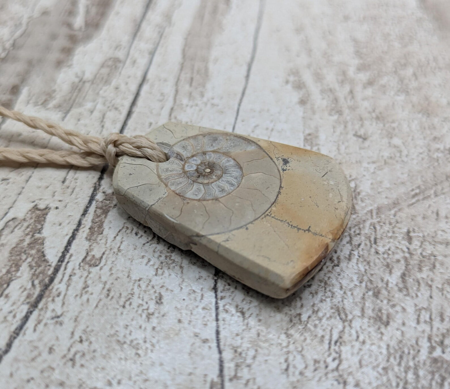 Jurassic Charmouth Ammonite Pendant – Calcite-Crystal in Limestone Fossil Necklace - Natural history - Fibonacci sequence amulet.