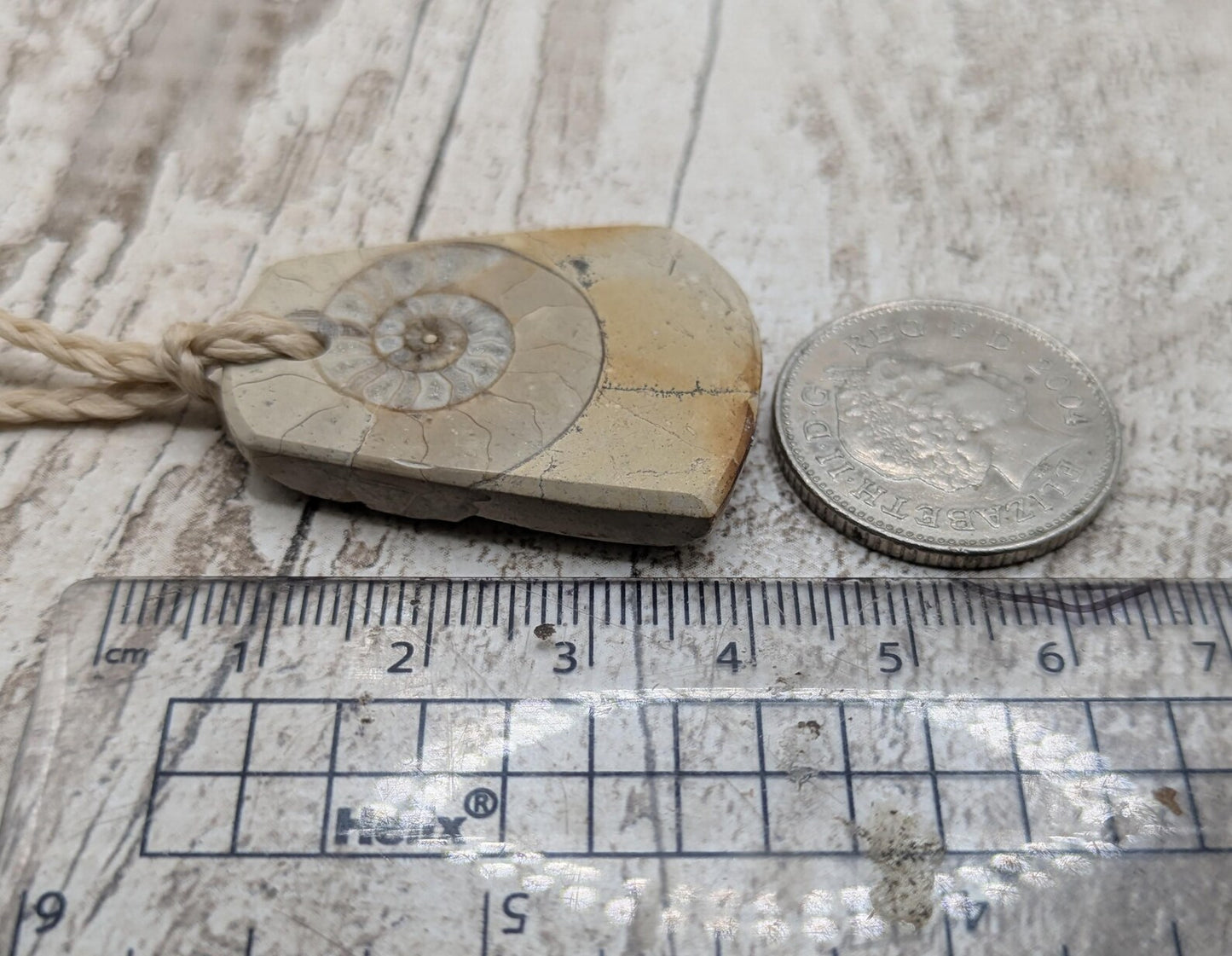 Jurassic Charmouth Ammonite Pendant – Calcite-Crystal in Limestone Fossil Necklace - Natural history - Fibonacci sequence amulet.