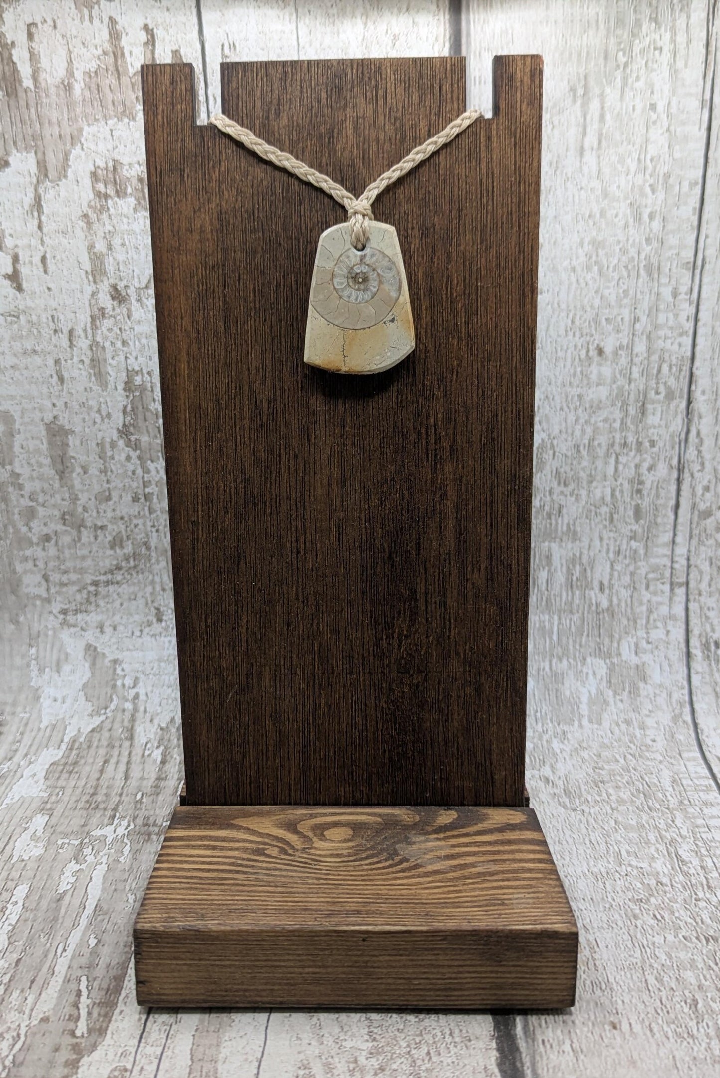 Jurassic Charmouth Ammonite Pendant – Calcite-Crystal in Limestone Fossil Necklace - Natural history - Fibonacci sequence amulet.