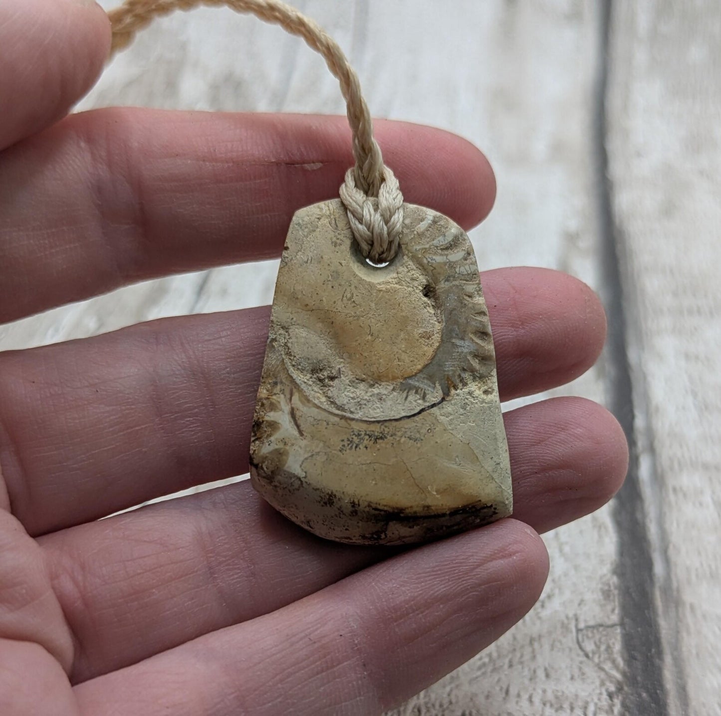 Jurassic Charmouth Ammonite Pendant – Calcite-Crystal in Limestone Fossil Necklace - Natural history - Fibonacci sequence amulet.