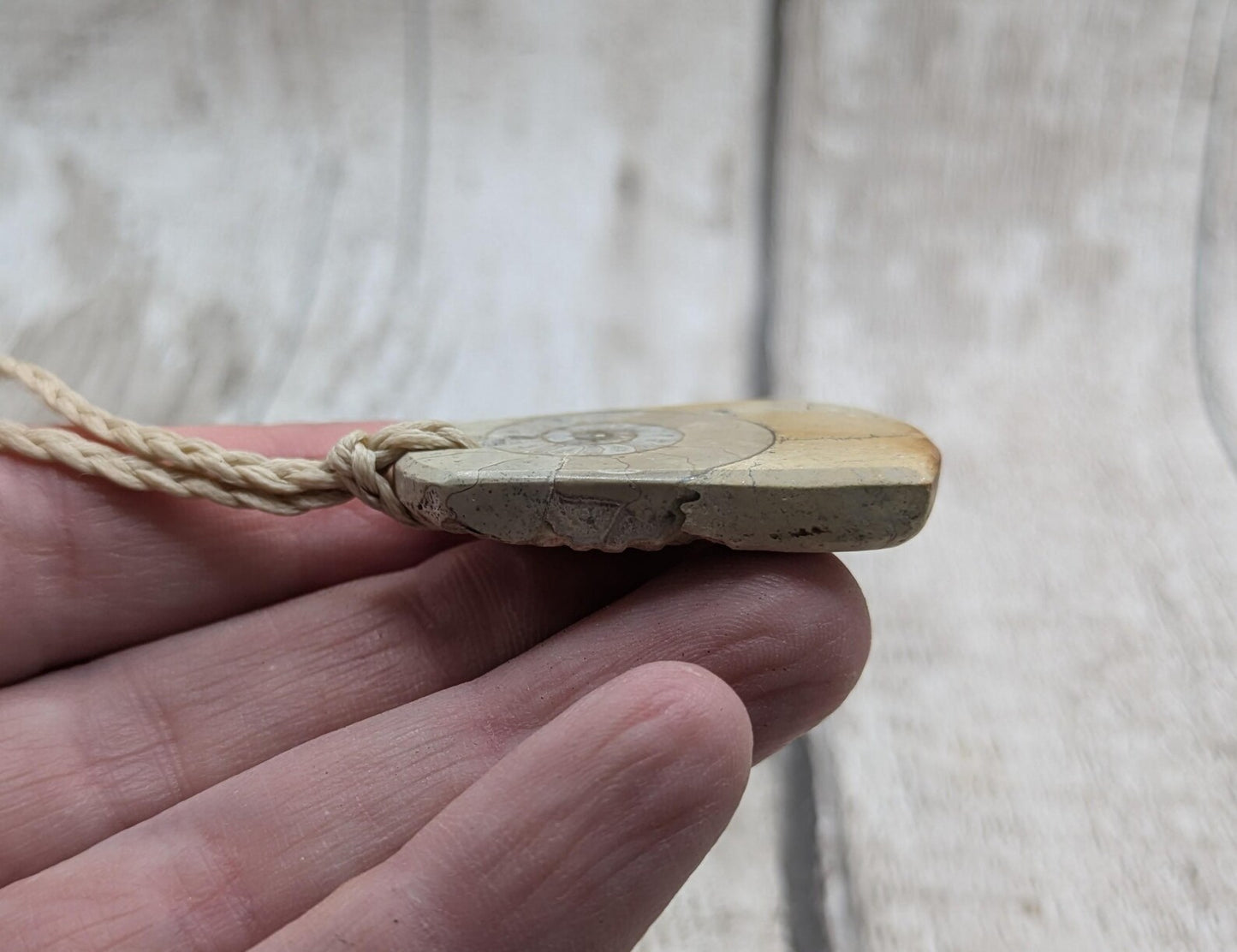 Jurassic Charmouth Ammonite Pendant – Calcite-Crystal in Limestone Fossil Necklace - Natural history - Fibonacci sequence amulet.