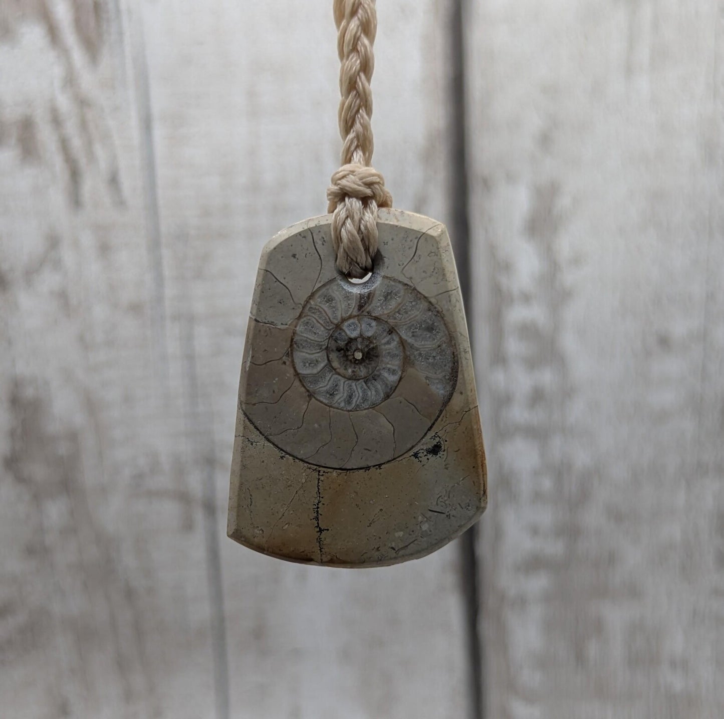 Jurassic Charmouth Ammonite Pendant – Calcite-Crystal in Limestone Fossil Necklace - Natural history - Fibonacci sequence amulet.