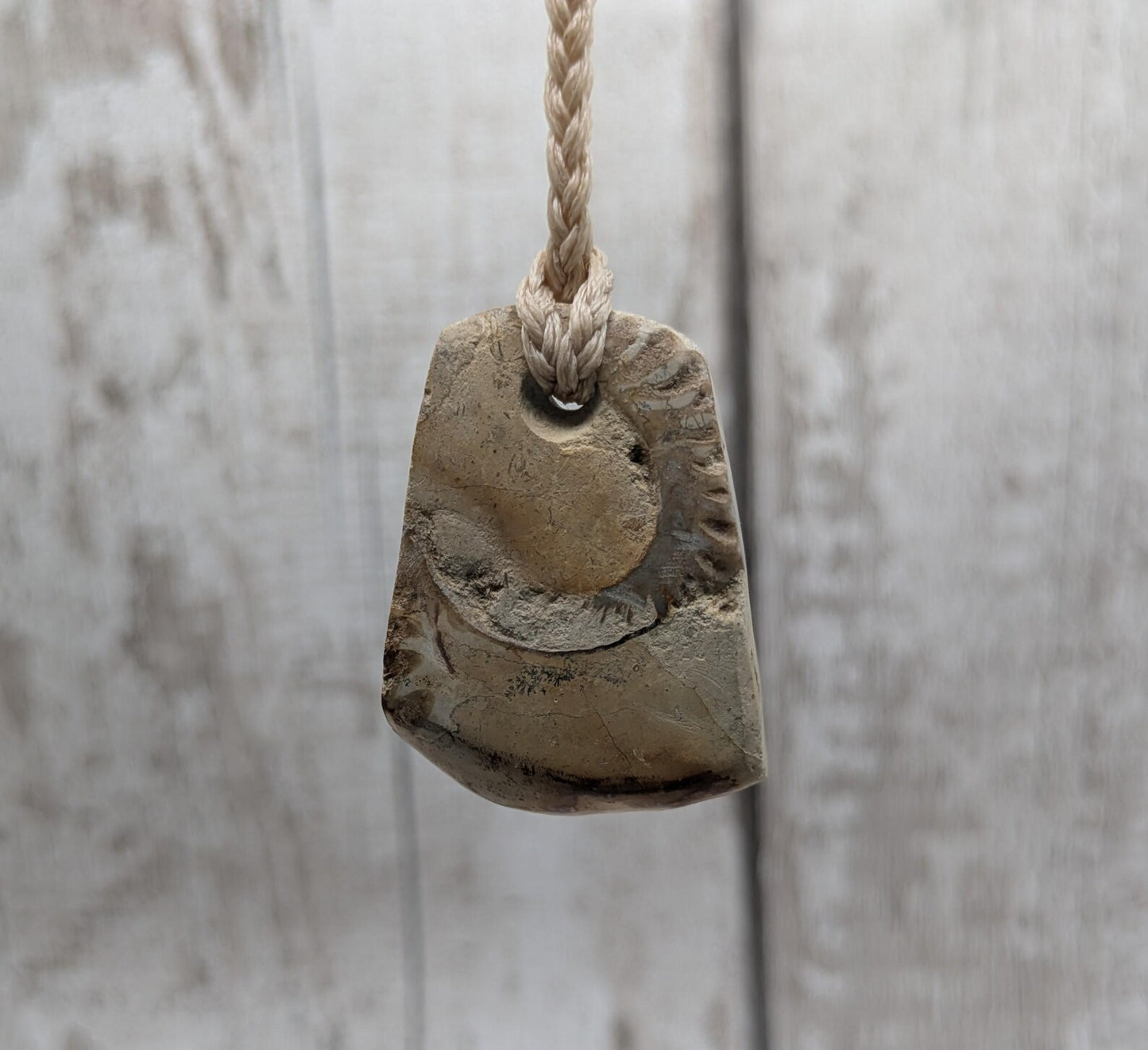 Jurassic Charmouth Ammonite Pendant – Calcite-Crystal in Limestone Fossil Necklace - Natural history - Fibonacci sequence amulet.