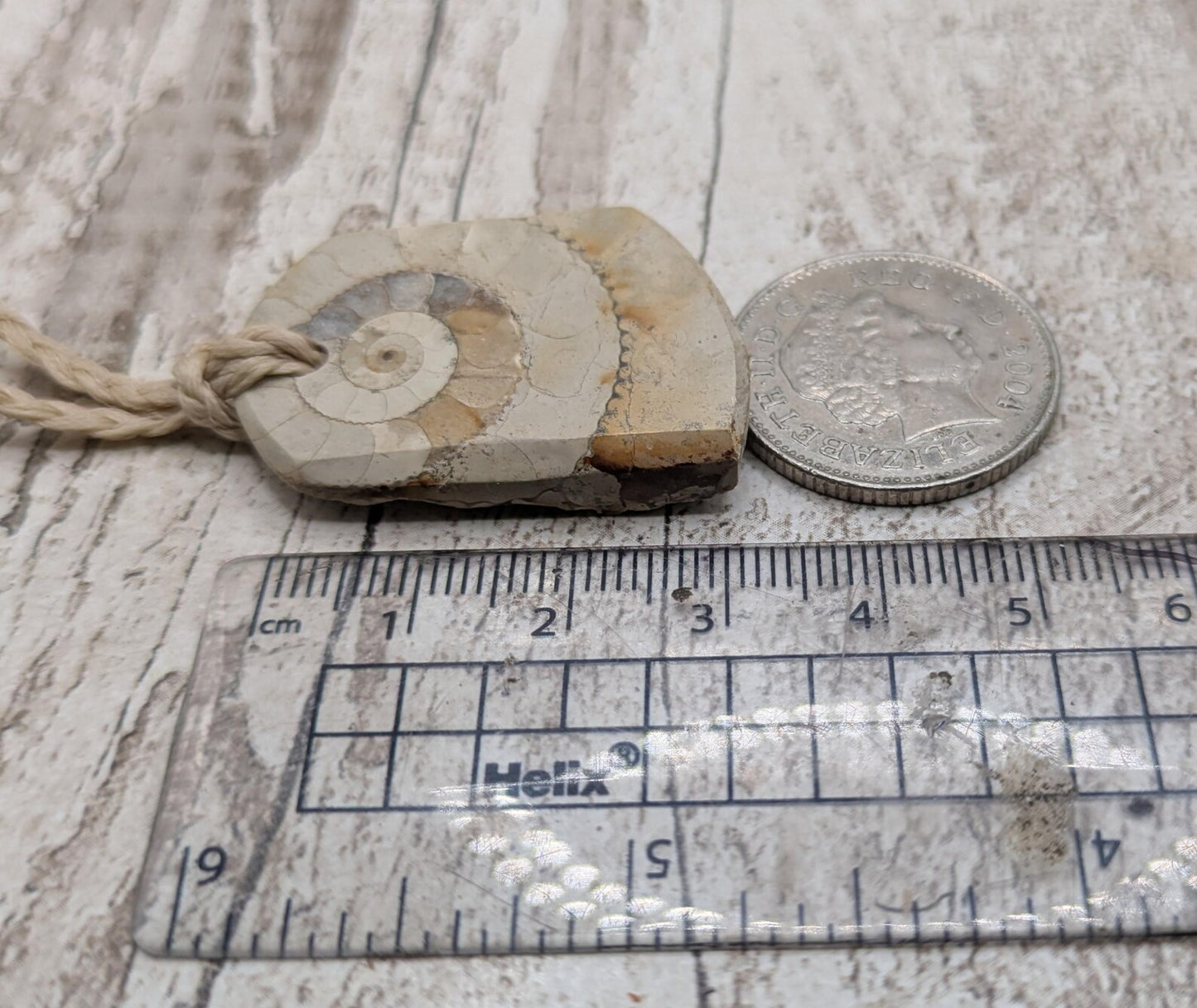 Jurassic Charmouth Ammonite Pendant – Calcite-Crystal in Limestone Fossil Necklace - Natural history - Fibonacci sequence amulet.