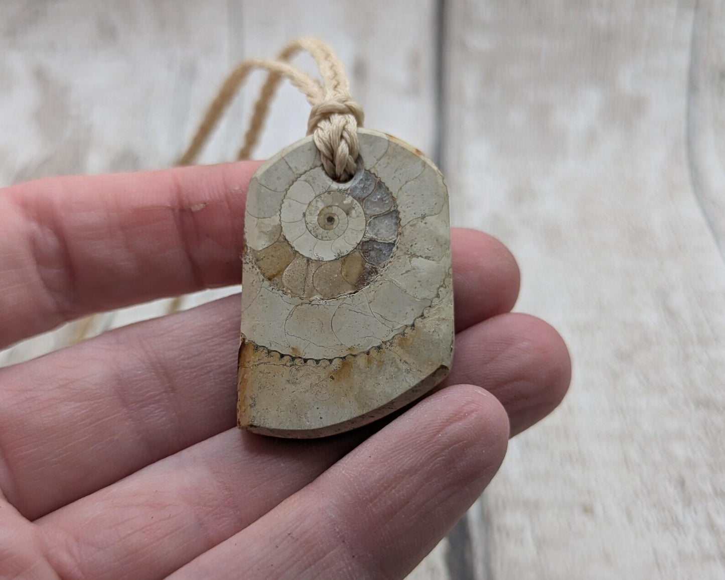 Jurassic Charmouth Ammonite Pendant – Calcite-Crystal in Limestone Fossil Necklace - Natural history - Fibonacci sequence amulet.