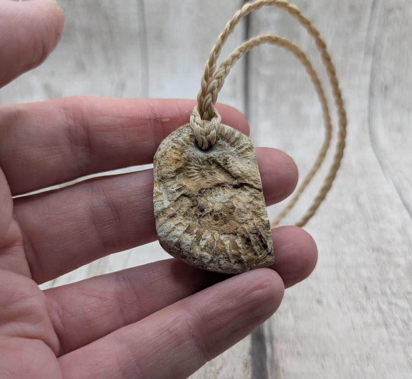 Jurassic Charmouth Ammonite Pendant – Calcite-Crystal in Limestone Fossil Necklace - Natural history - Fibonacci sequence amulet.