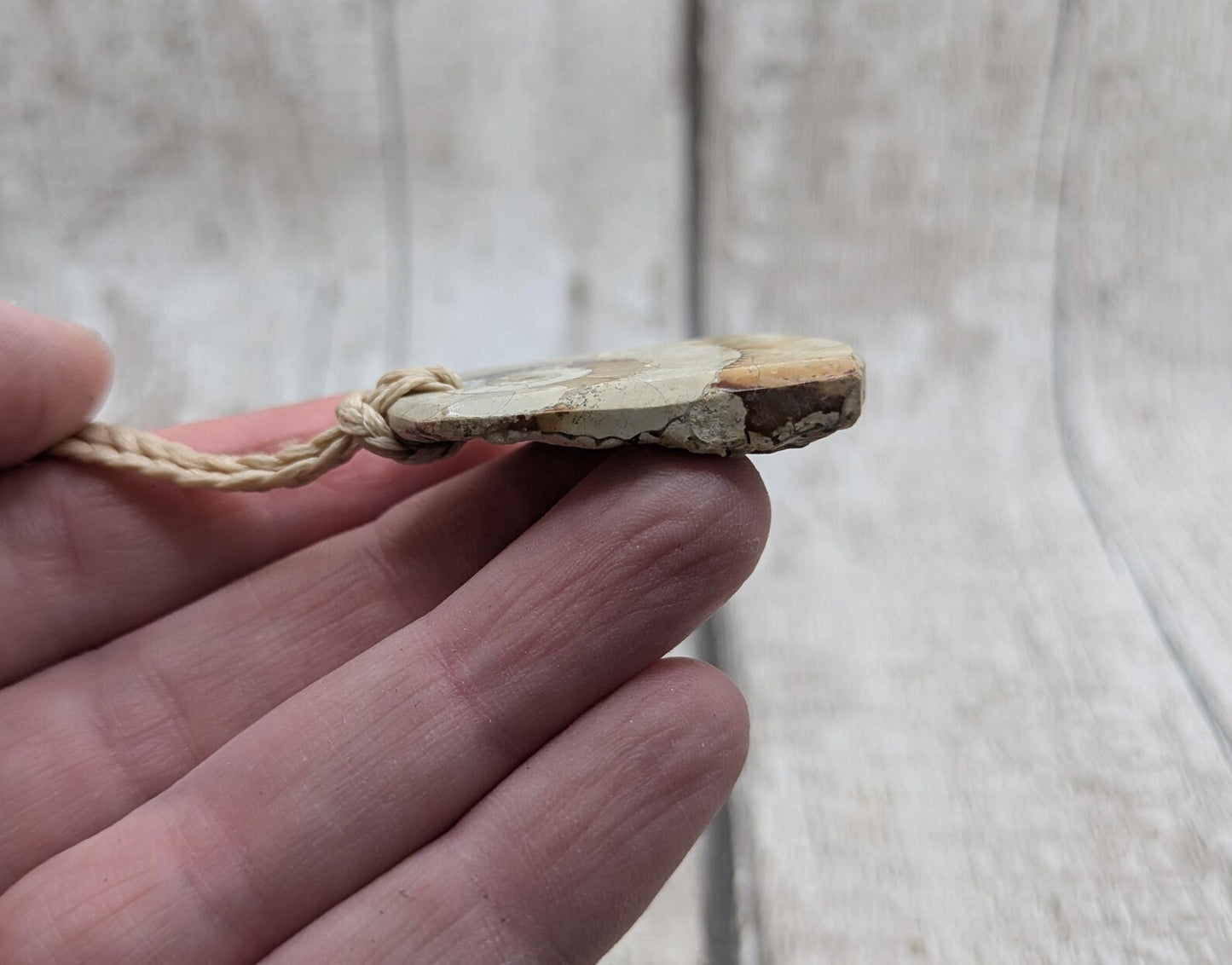 Jurassic Charmouth Ammonite Pendant – Calcite-Crystal in Limestone Fossil Necklace - Natural history - Fibonacci sequence amulet.