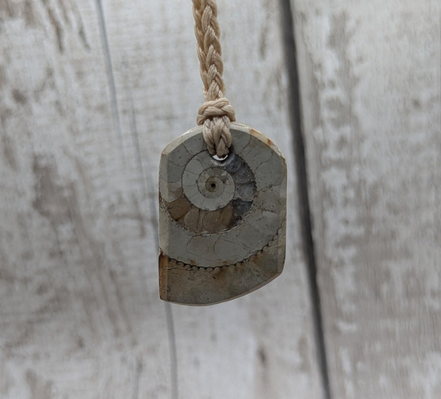 Jurassic Charmouth Ammonite Pendant – Calcite-Crystal in Limestone Fossil Necklace - Natural history - Fibonacci sequence amulet.
