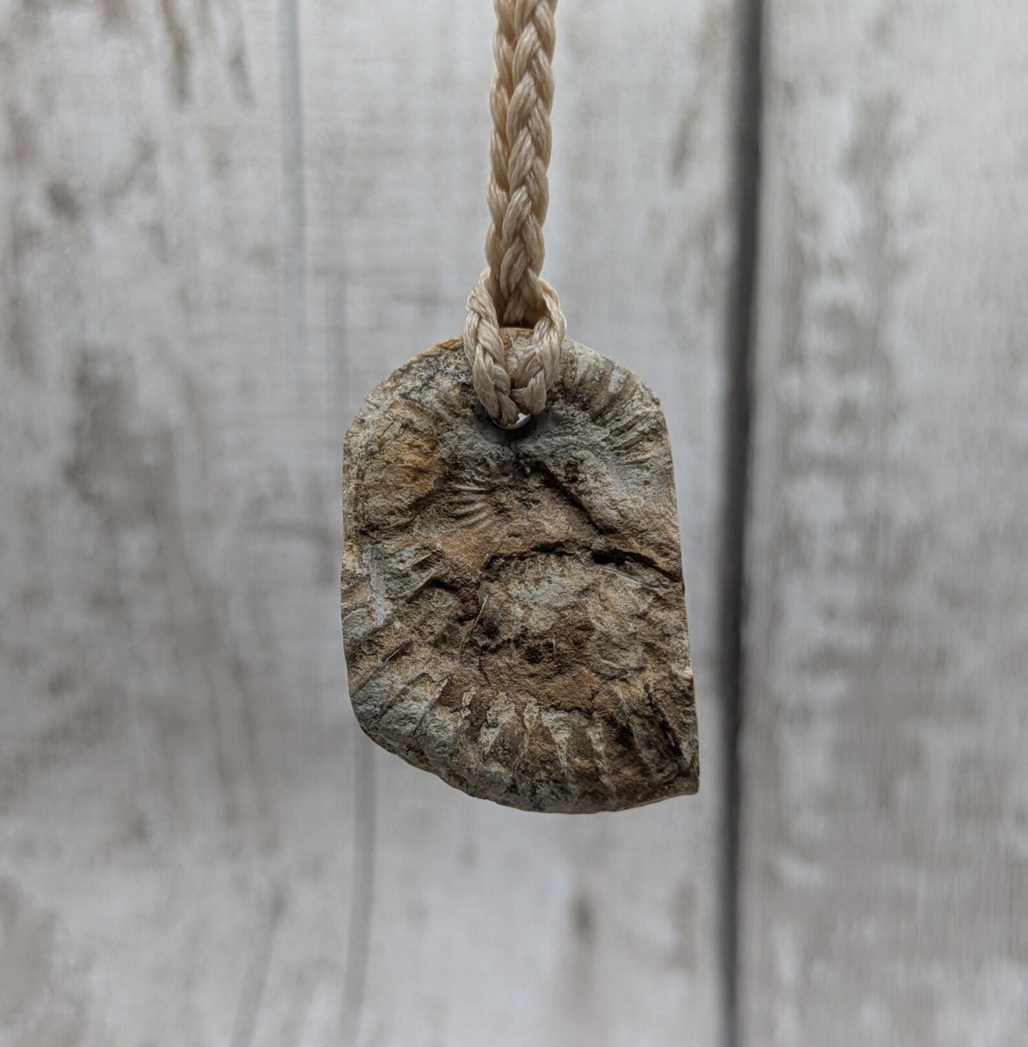 Jurassic Charmouth Ammonite Pendant – Calcite-Crystal in Limestone Fossil Necklace - Natural history - Fibonacci sequence amulet.