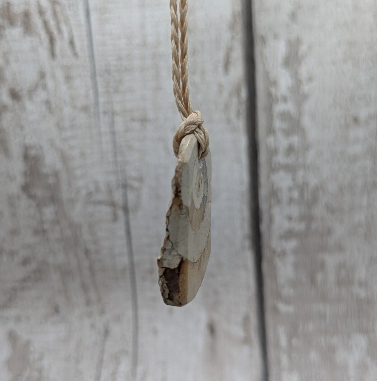 Jurassic Charmouth Ammonite Pendant – Calcite-Crystal in Limestone Fossil Necklace - Natural history - Fibonacci sequence amulet.