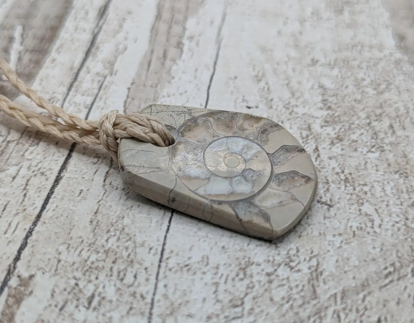 Jurassic Charmouth Ammonite Pendant – Calcite-Crystal in Limestone Fossil Necklace - Natural history - Fibonacci sequence amulet.
