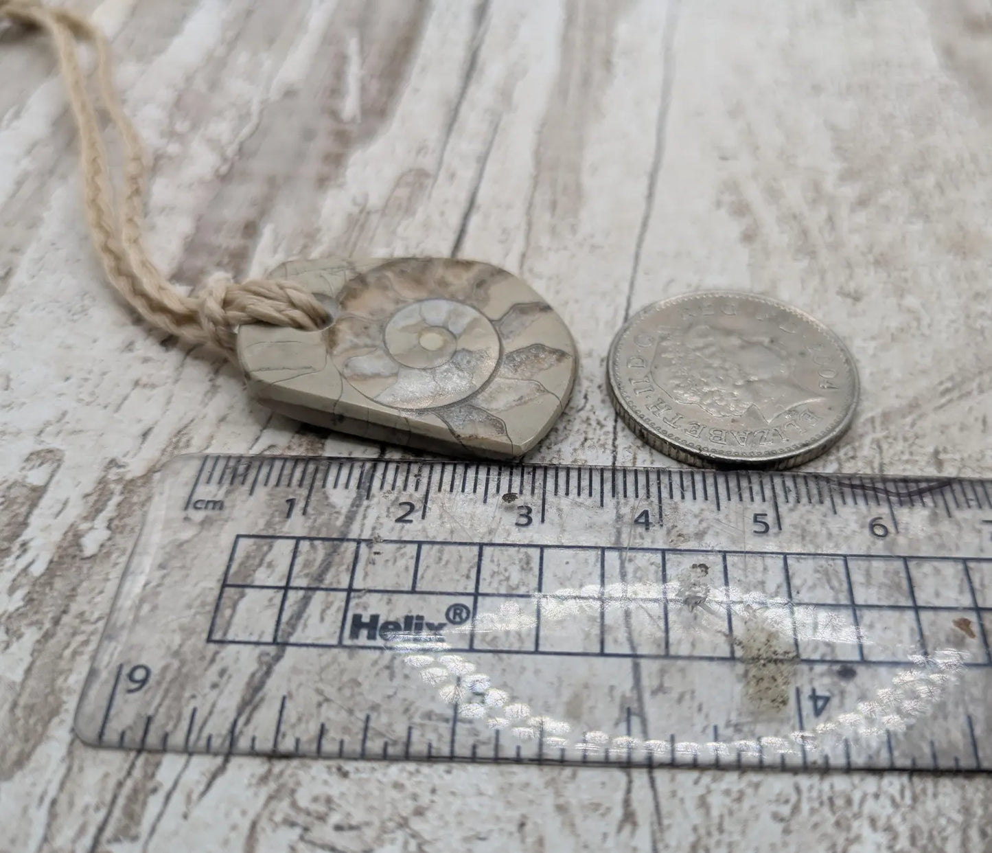 Jurassic Charmouth Ammonite Pendant – Calcite-Crystal in Limestone Fossil Necklace - Natural history - Fibonacci sequence amulet.