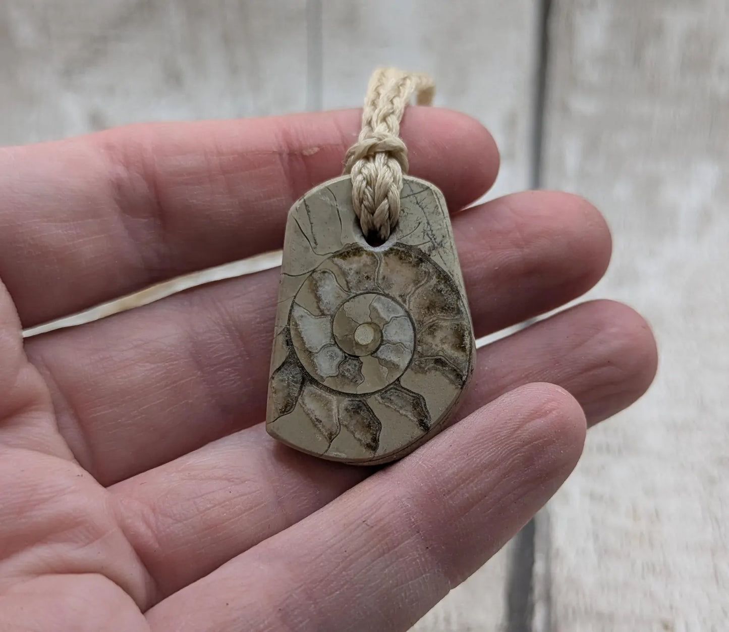 Jurassic Charmouth Ammonite Pendant – Calcite-Crystal in Limestone Fossil Necklace - Natural history - Fibonacci sequence amulet.