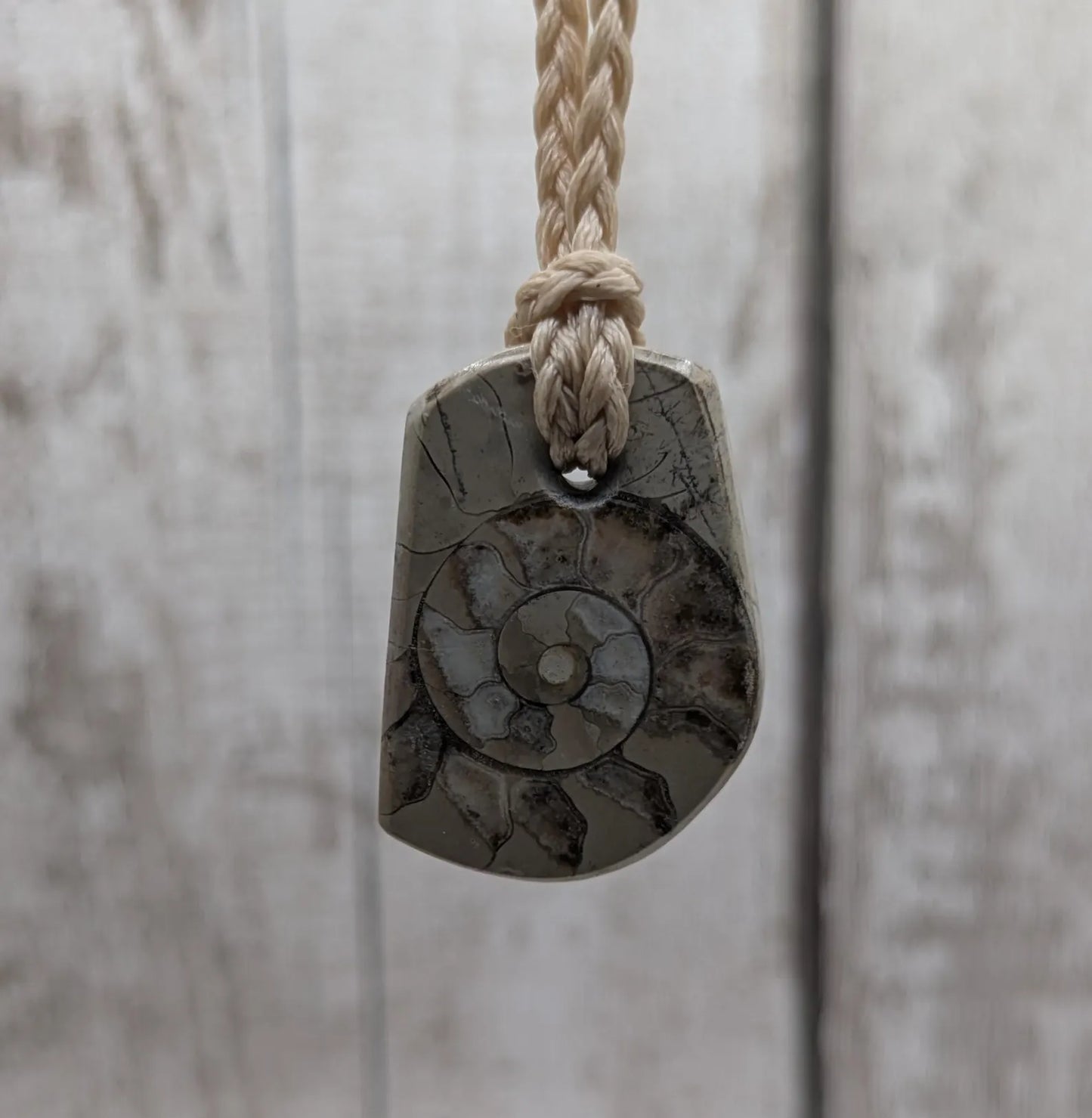 Jurassic Charmouth Ammonite Pendant – Calcite-Crystal in Limestone Fossil Necklace - Natural history - Fibonacci sequence amulet.