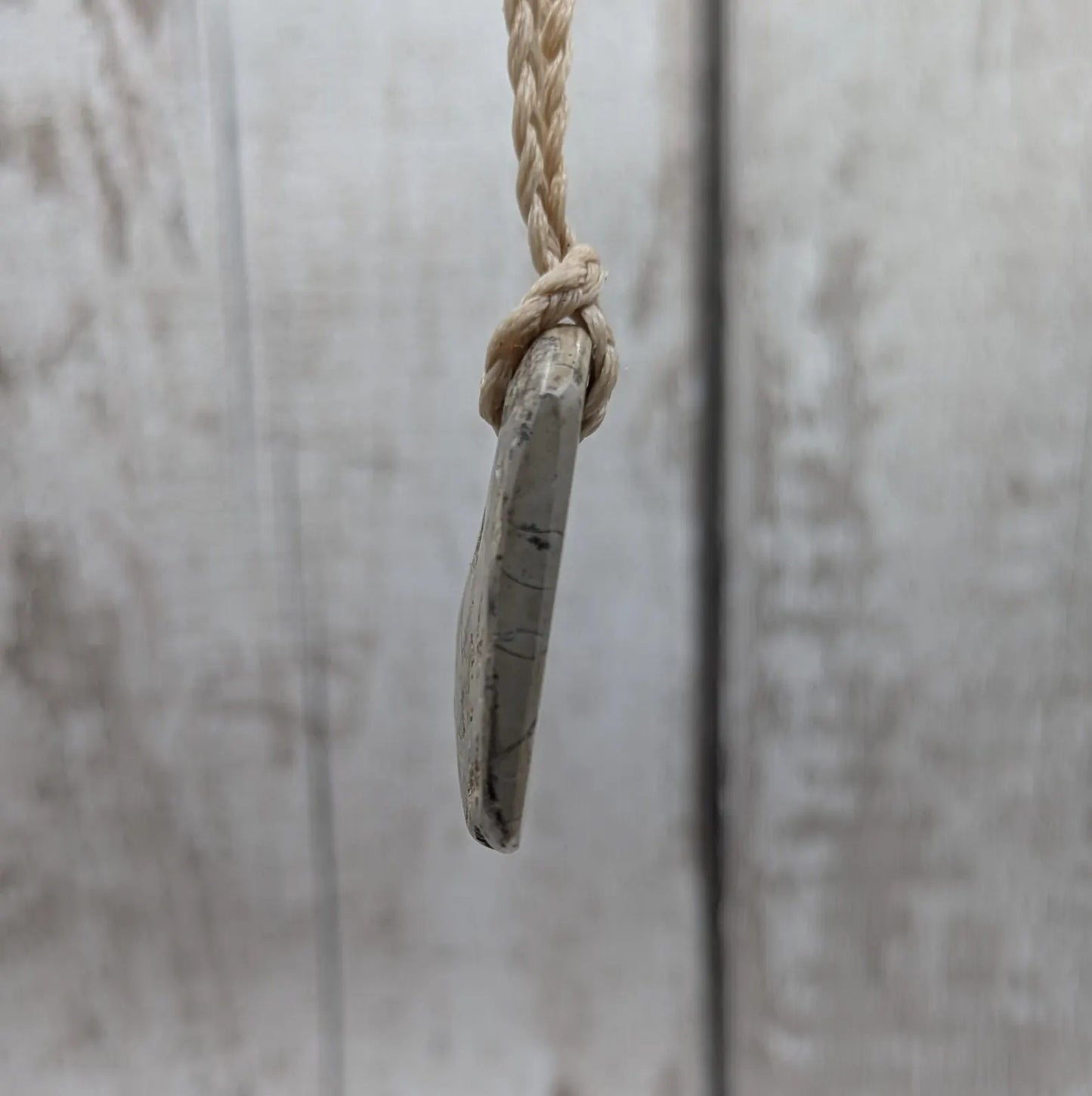 Jurassic Charmouth Ammonite Pendant – Calcite-Crystal in Limestone Fossil Necklace - Natural history - Fibonacci sequence amulet.