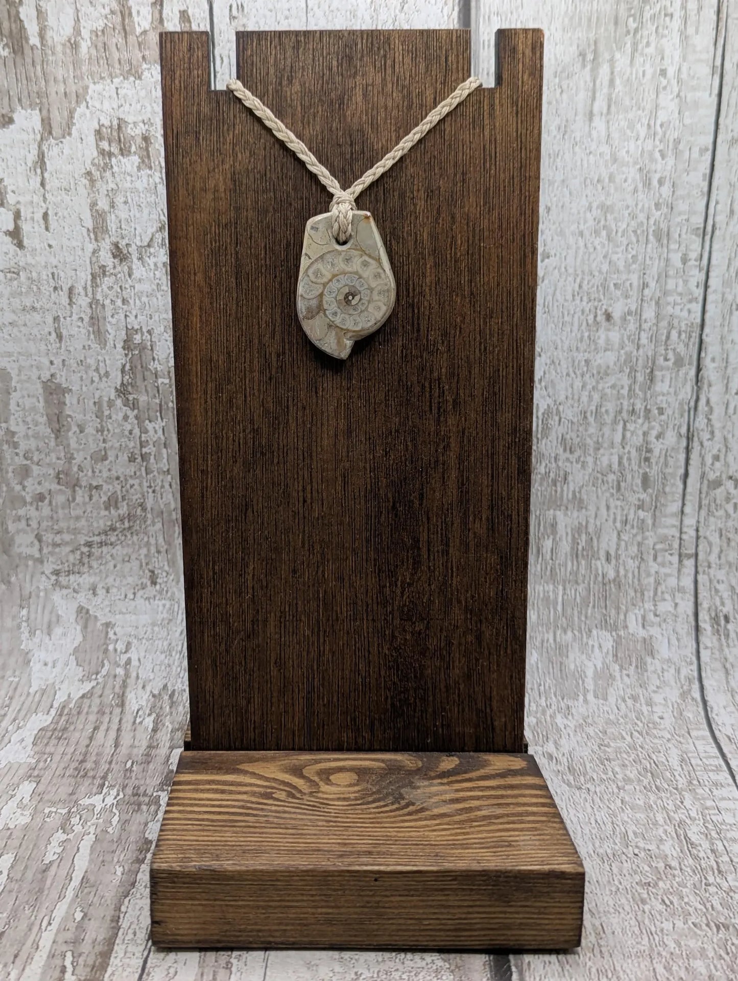Jurassic Charmouth Ammonite Pendant – Calcite-Crystal in Limestone Fossil Necklace - Natural history - Fibonacci sequence amulet.