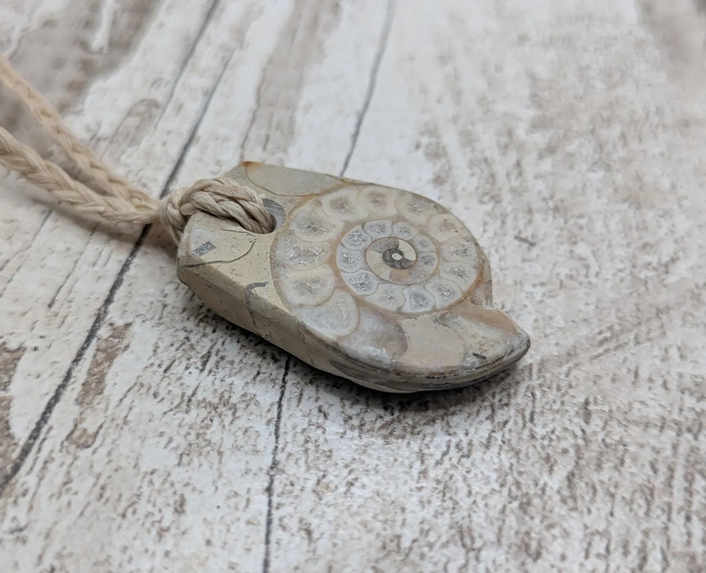 Jurassic Charmouth Ammonite Pendant – Calcite-Crystal in Limestone Fossil Necklace - Natural history - Fibonacci sequence amulet.