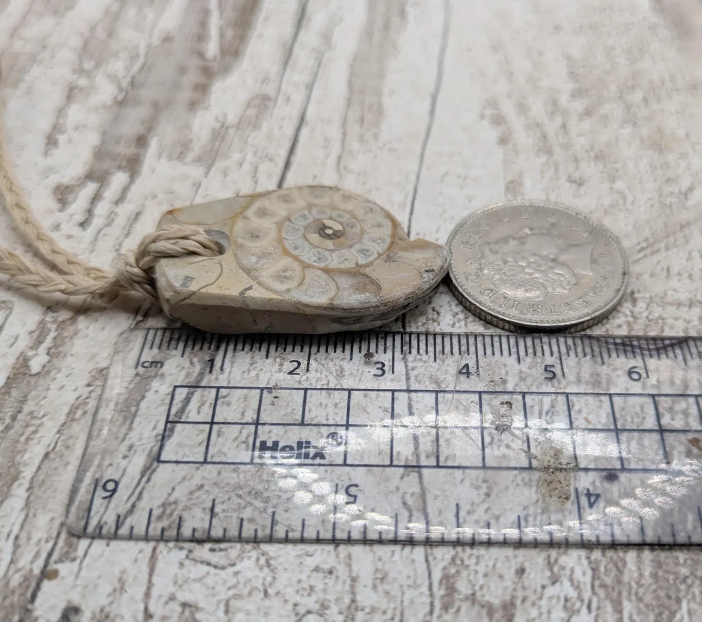 Jurassic Charmouth Ammonite Pendant – Calcite-Crystal in Limestone Fossil Necklace - Natural history - Fibonacci sequence amulet.
