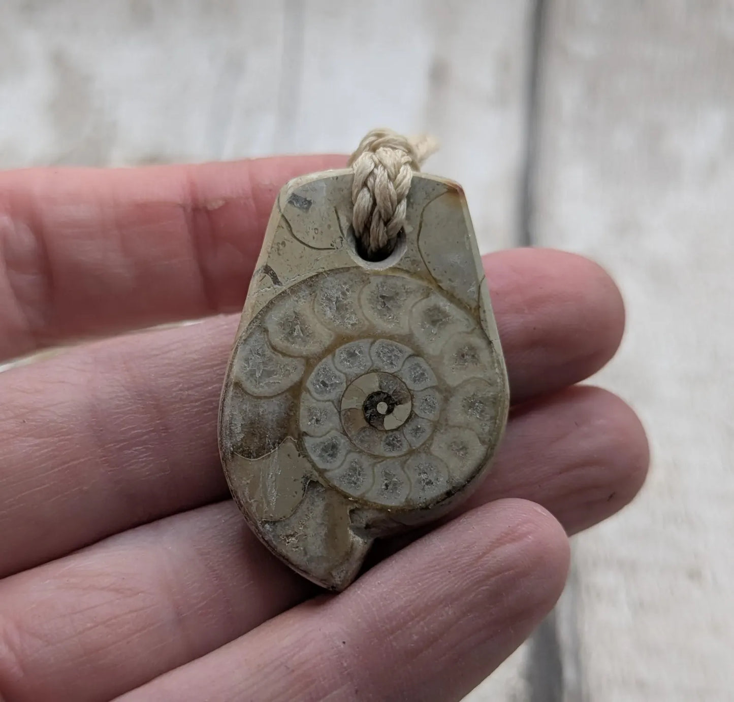 Jurassic Charmouth Ammonite Pendant – Calcite-Crystal in Limestone Fossil Necklace - Natural history - Fibonacci sequence amulet.