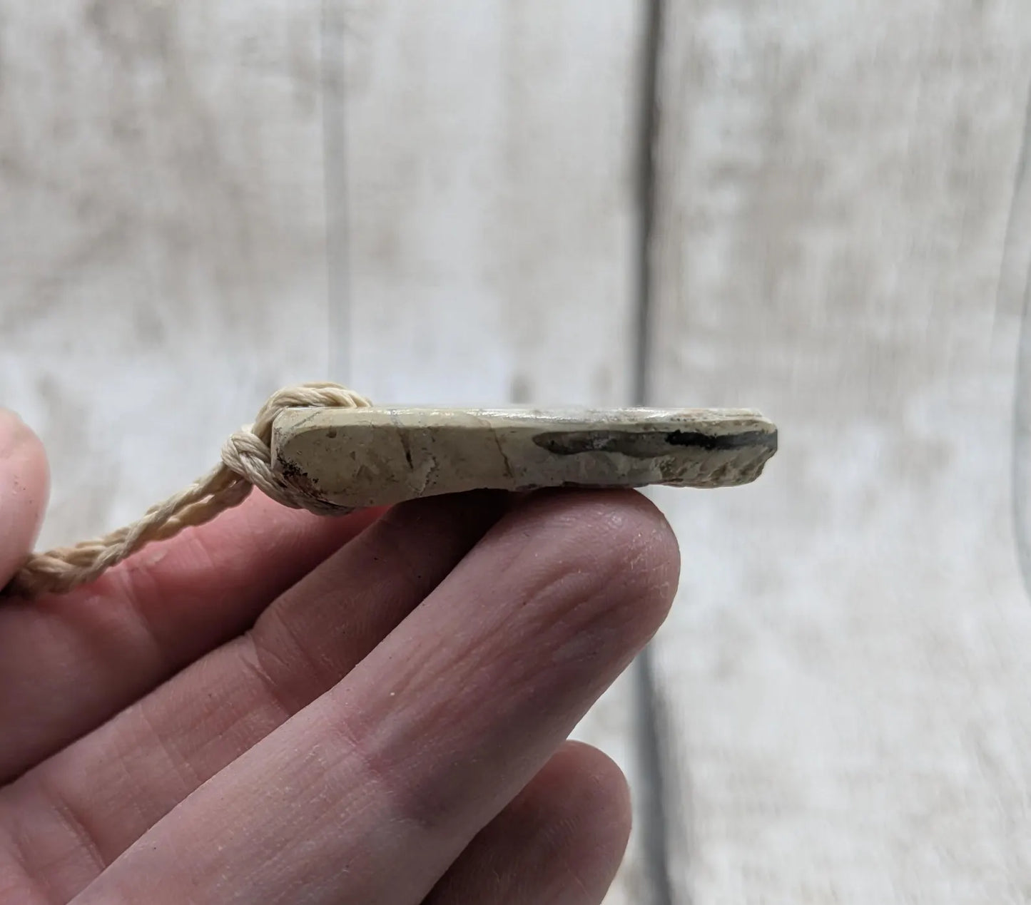 Jurassic Charmouth Ammonite Pendant – Calcite-Crystal in Limestone Fossil Necklace - Natural history - Fibonacci sequence amulet.