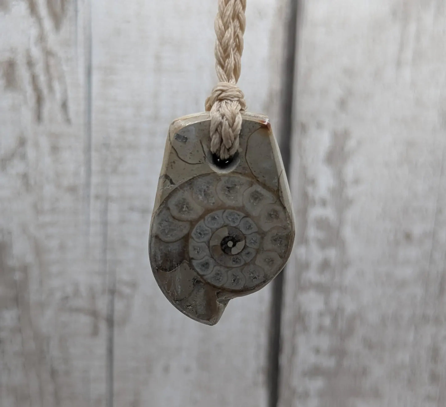 Jurassic Charmouth Ammonite Pendant – Calcite-Crystal in Limestone Fossil Necklace - Natural history - Fibonacci sequence amulet.