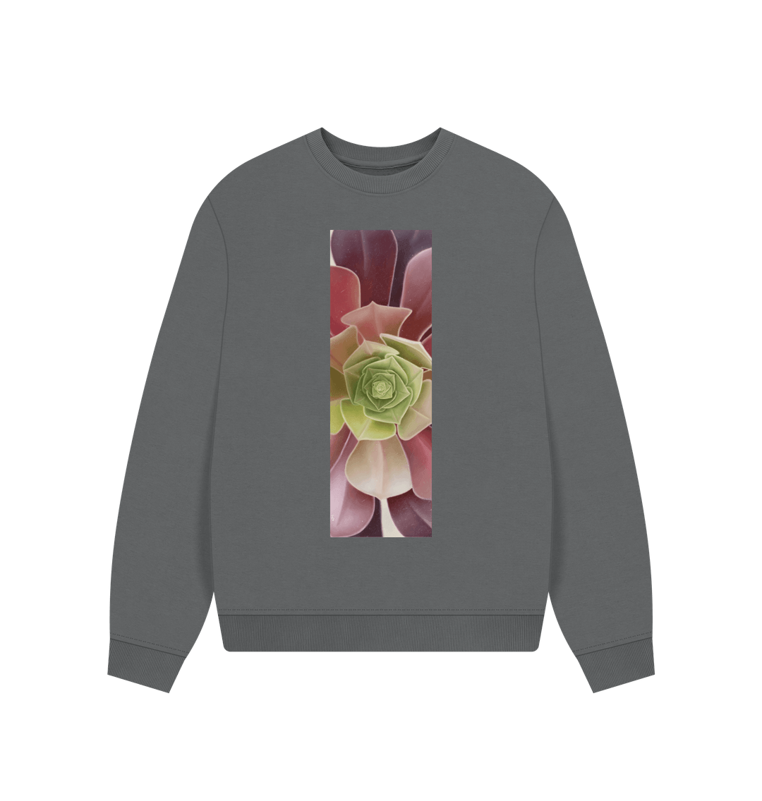 Slate Grey Women\u2019s green to purple ombre succulent banner over sized hoodie.