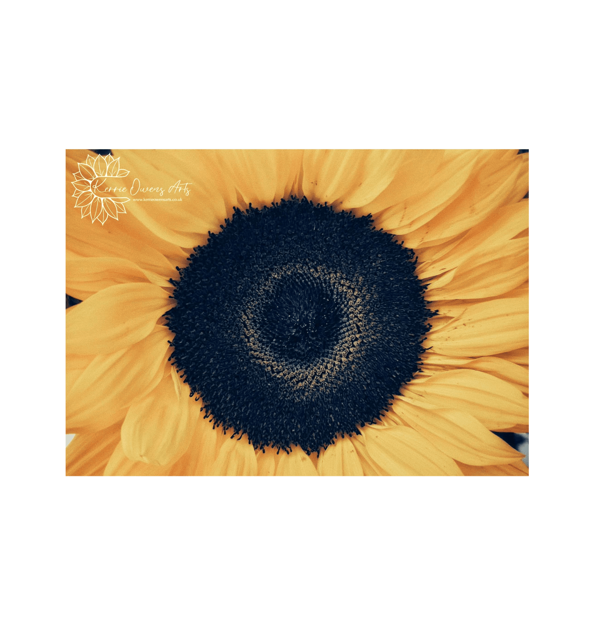 No Frame Framed art print Front