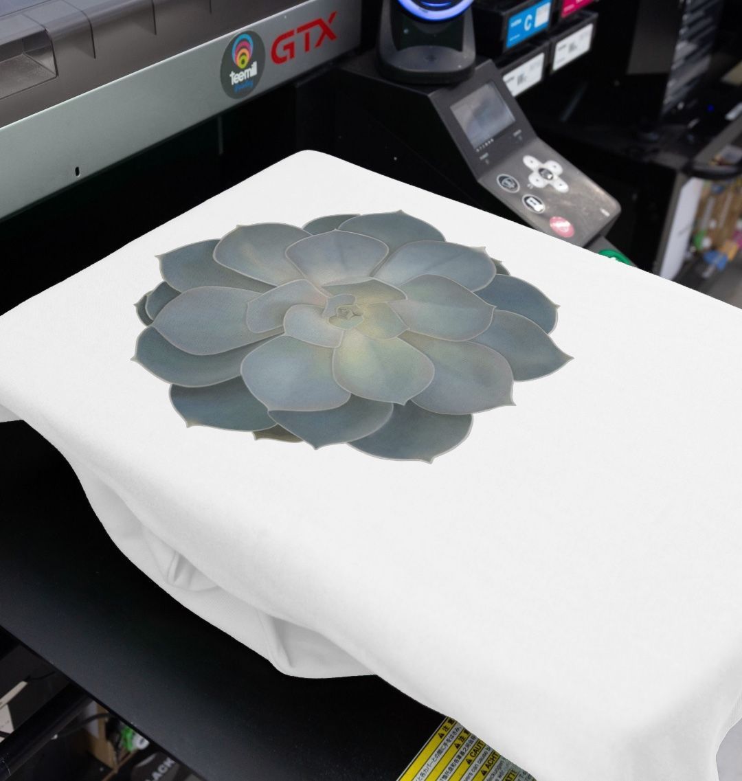 Green ombré succulent women’s sweatshirt.