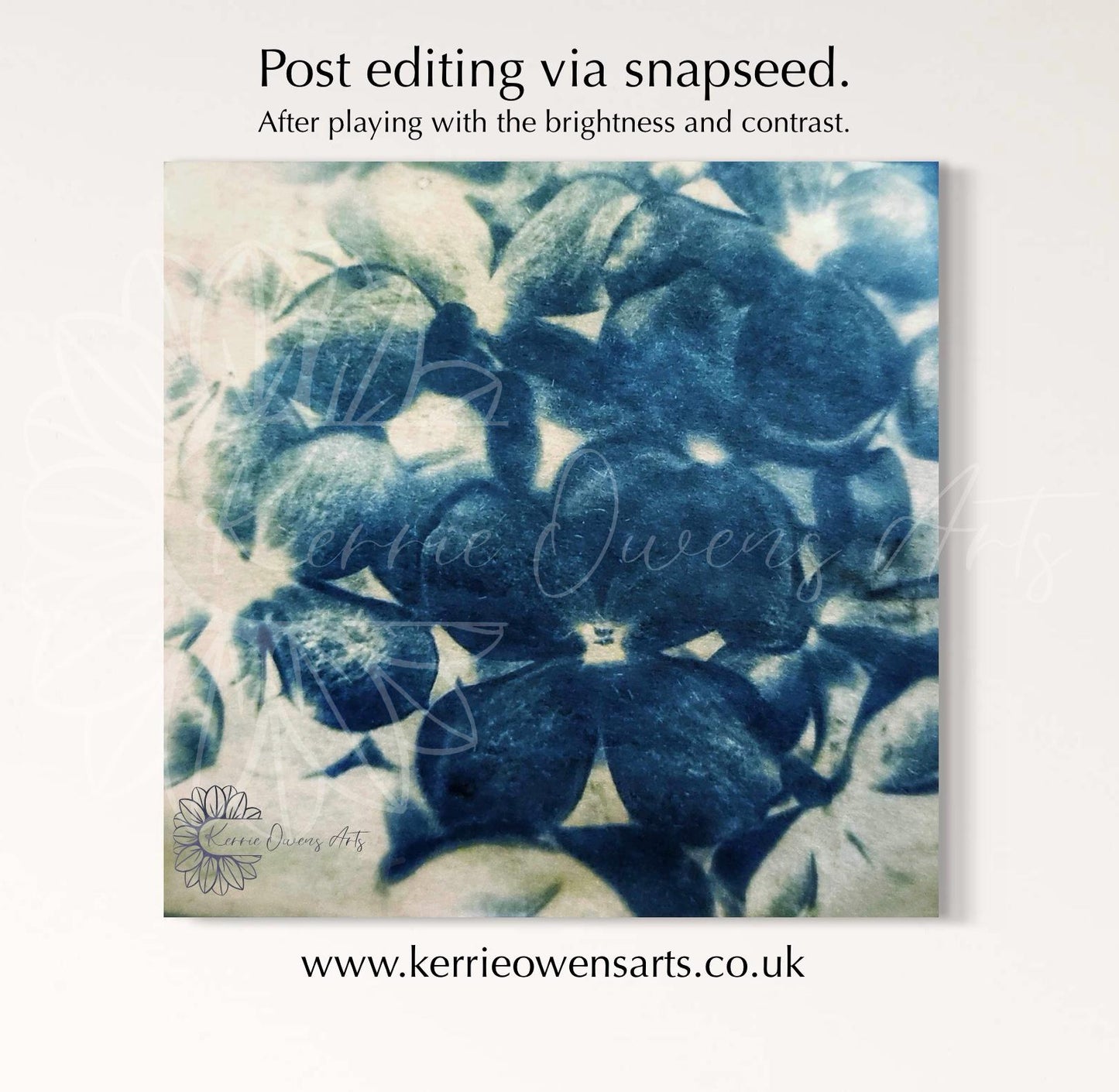 Violet flower, cyanotype negative template for acetate sheets, at home printing.