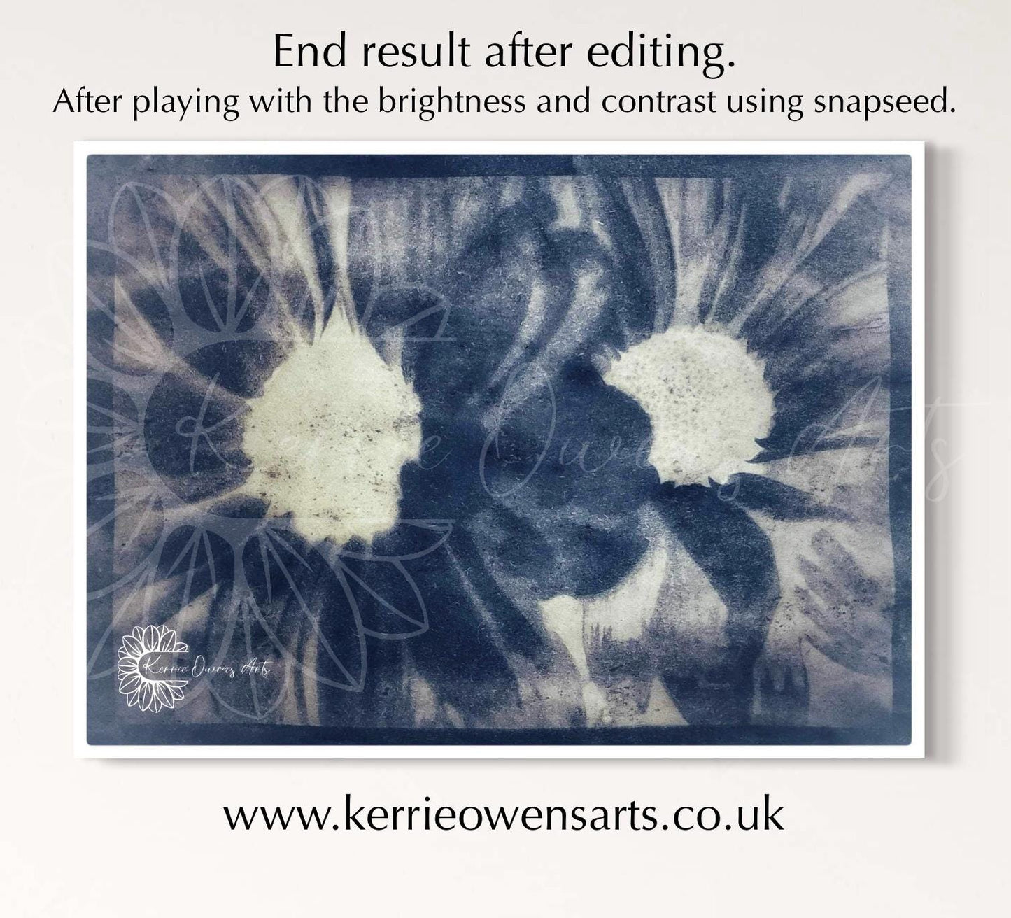 Double shasta daisy cyanotype negative, digital download, print at home.