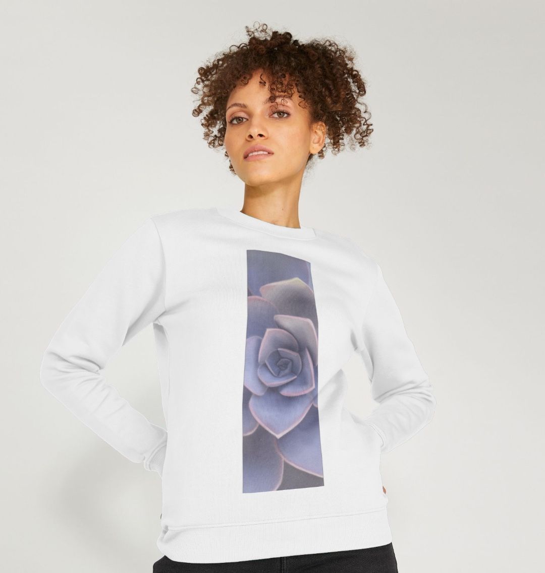 Women’s pastel purple ombré succulent banner sweater.