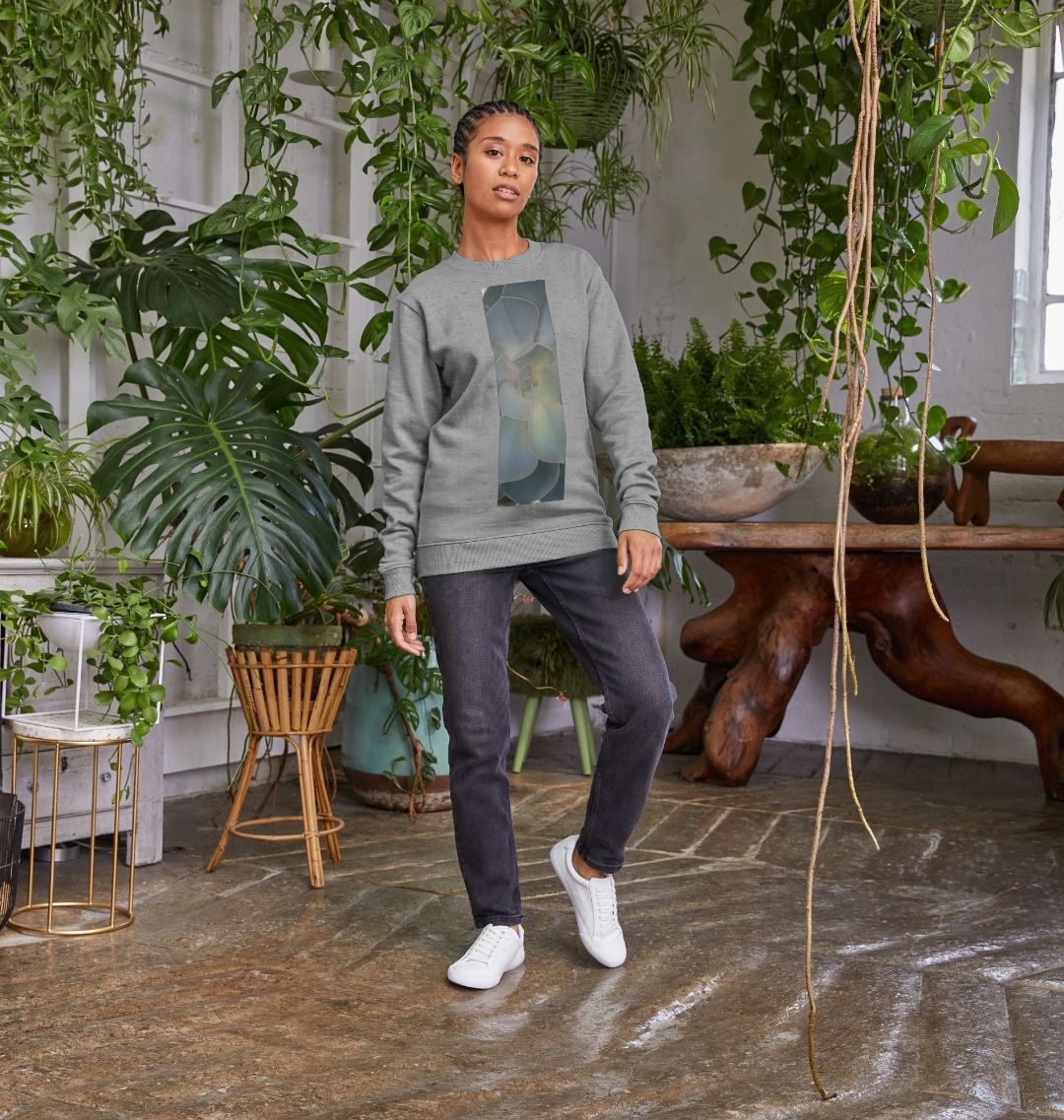 Women’s green ombré succulent banner sweater.