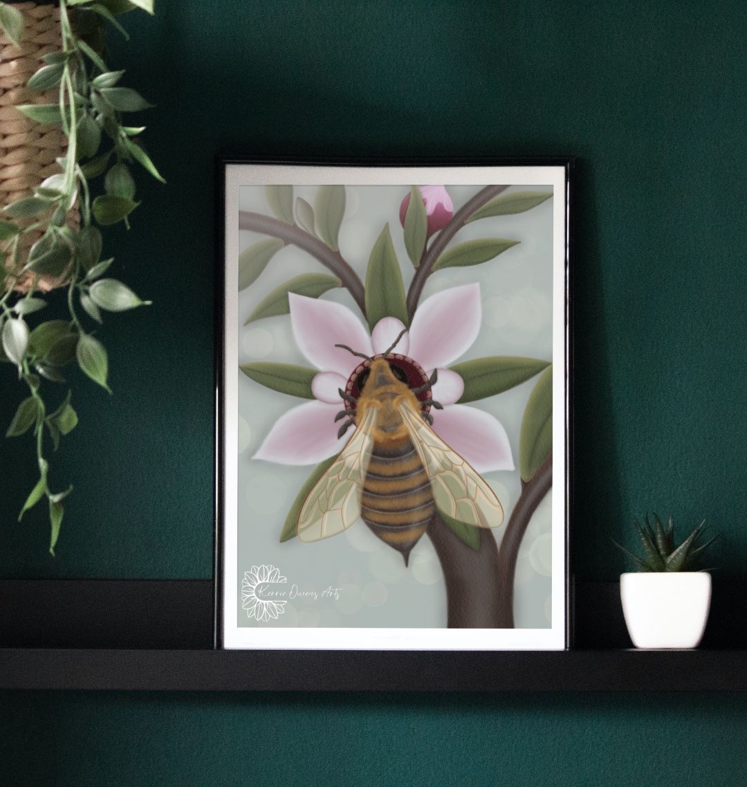 Honey bee on manuka flower poster print.