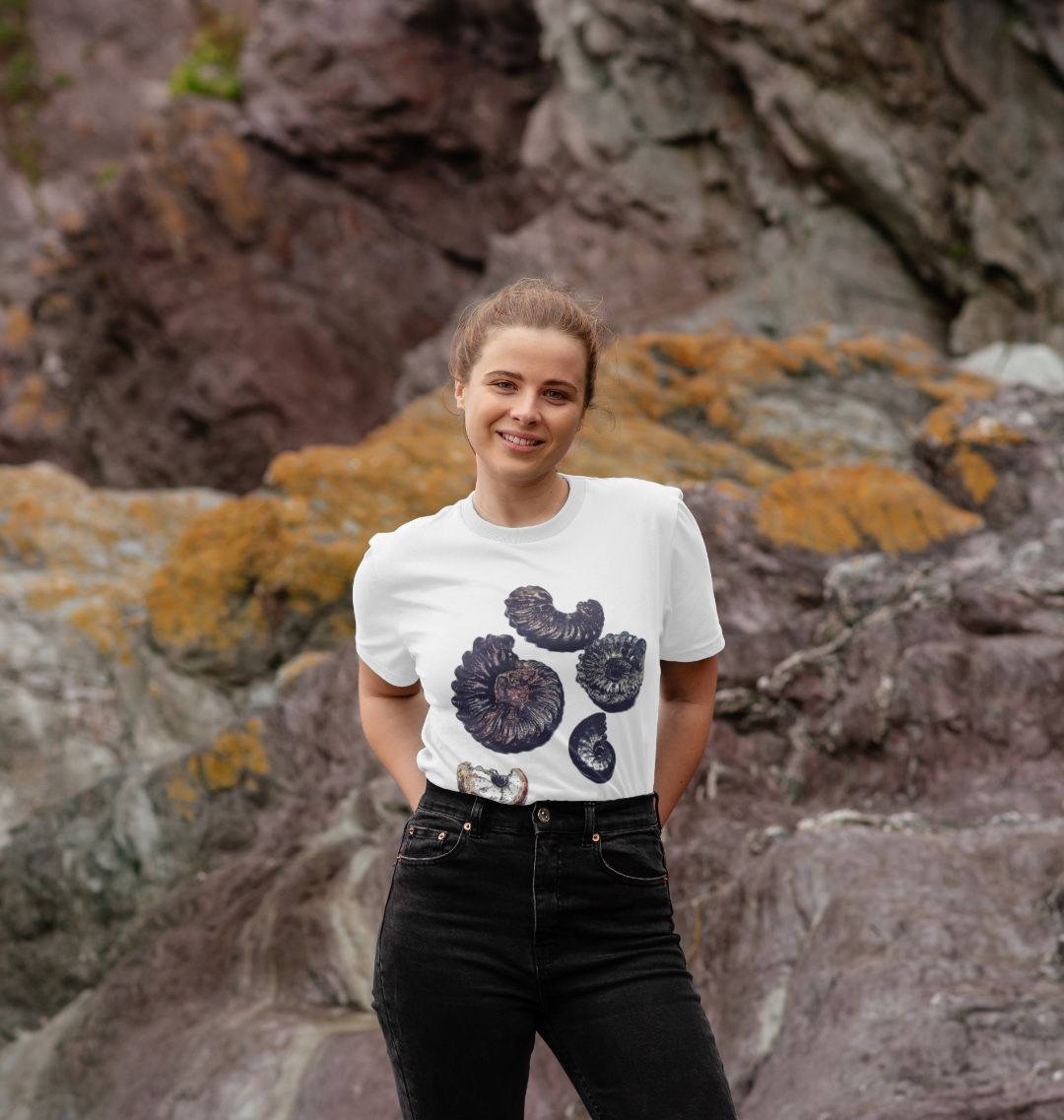 Ammonite illustrations.