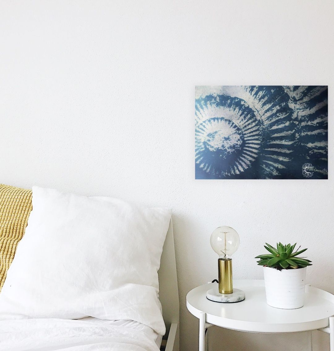 Whitby Ammonite fossil cyanotype print.