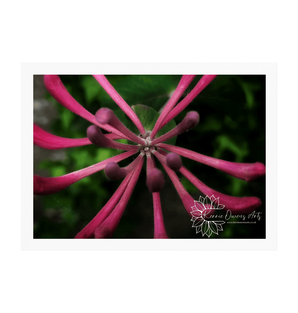 White Frame Framed art print Front
