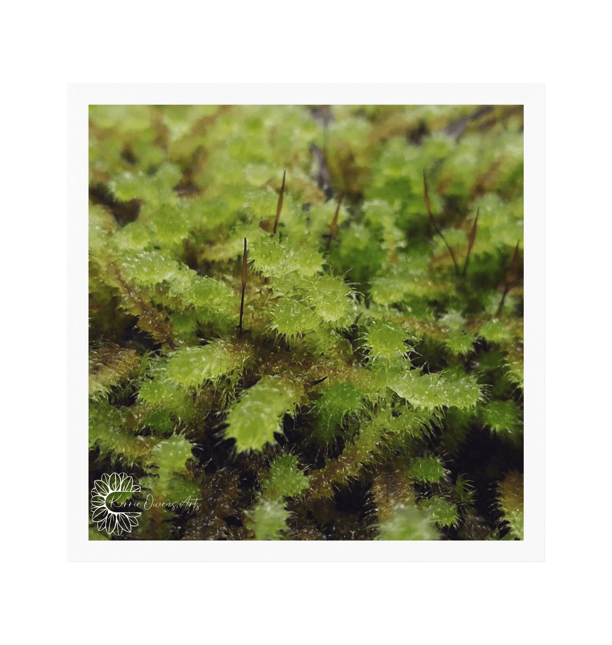 White Frame Framed art print Front