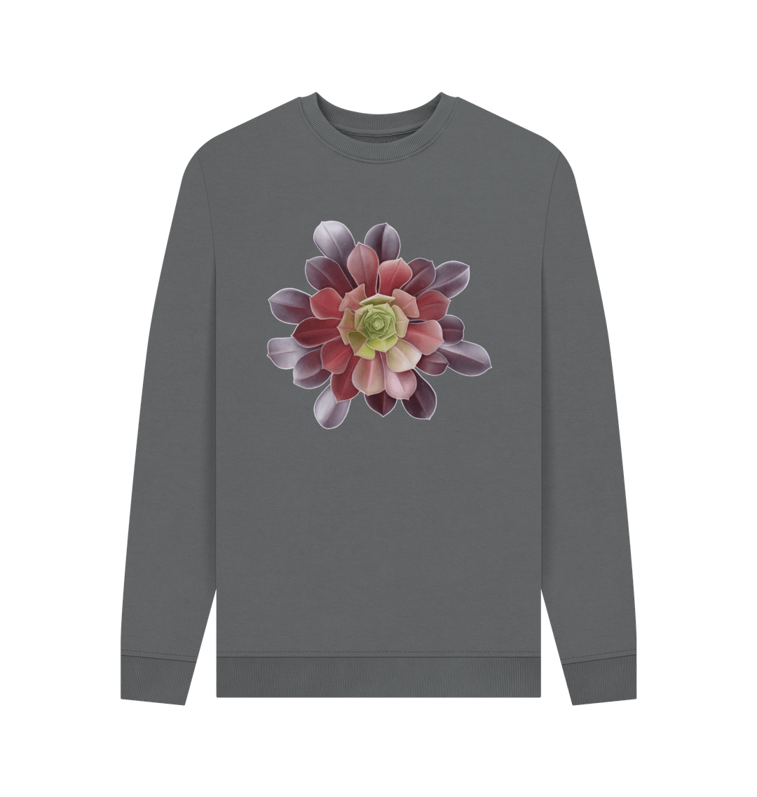 Slate Grey Men\u2019s Green to red ombr\u00e9 succulent sweatshirt.