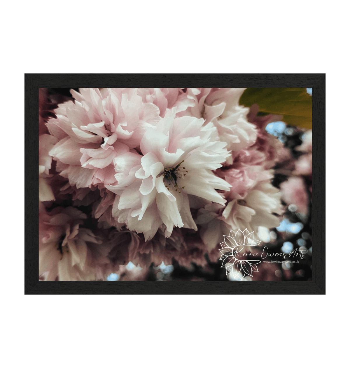 Black Frame Framed art print Front