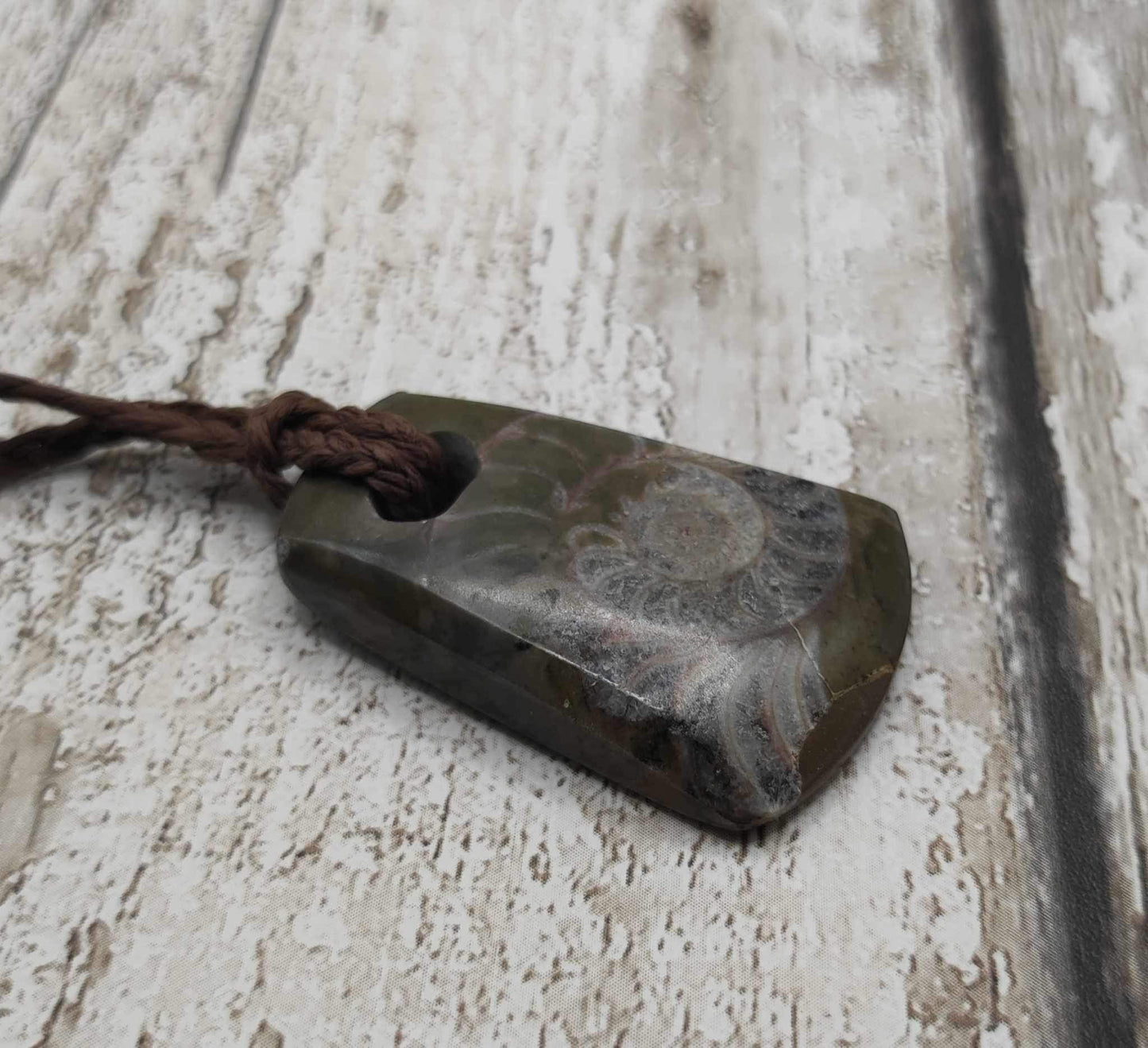 Goniatite ammonite Toki styled pendant.