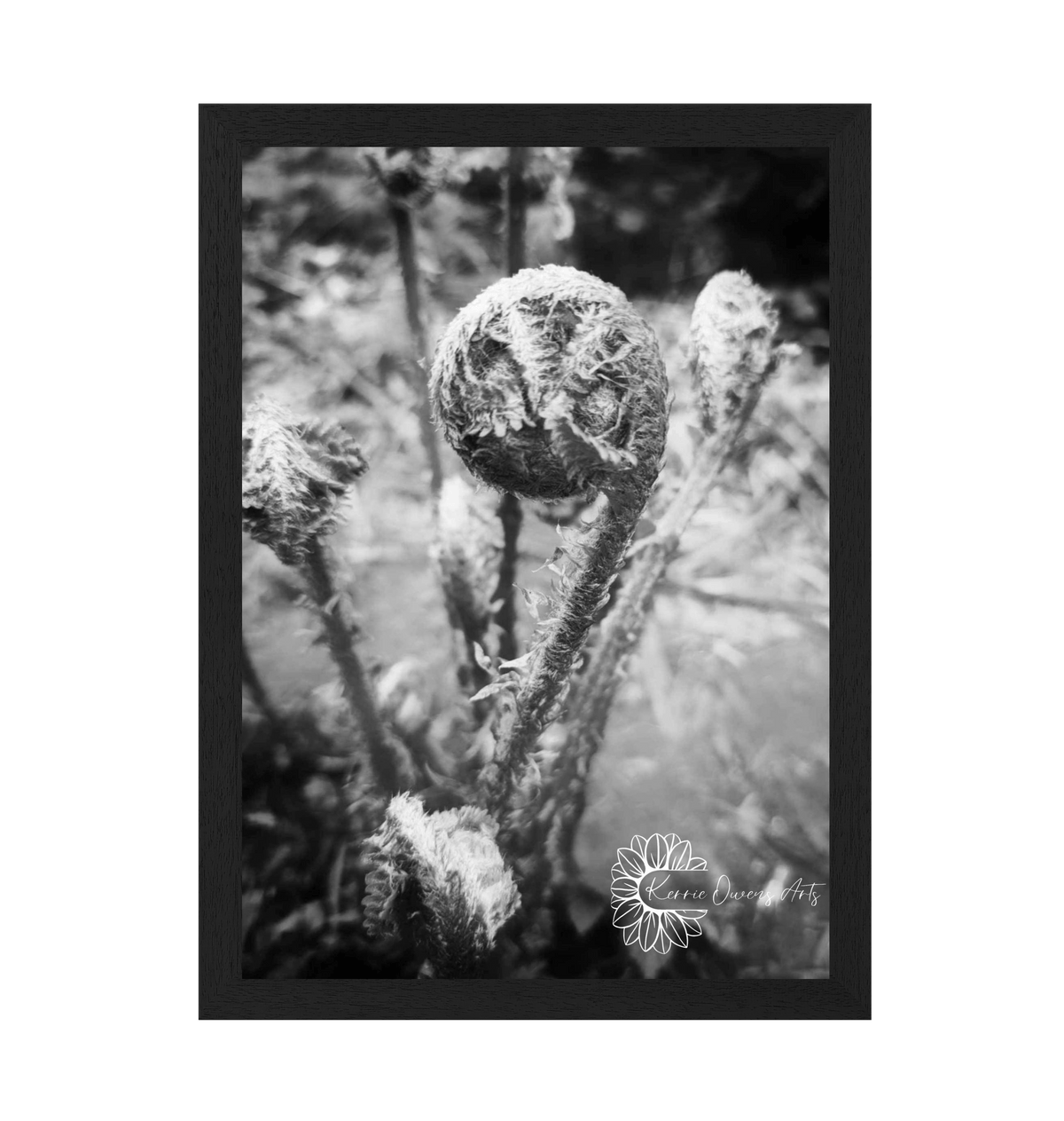 Black Frame Framed art print Front