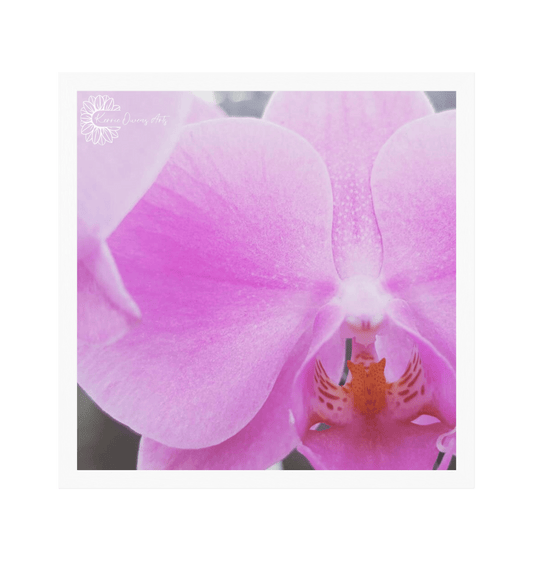 White Frame Framed art print Front