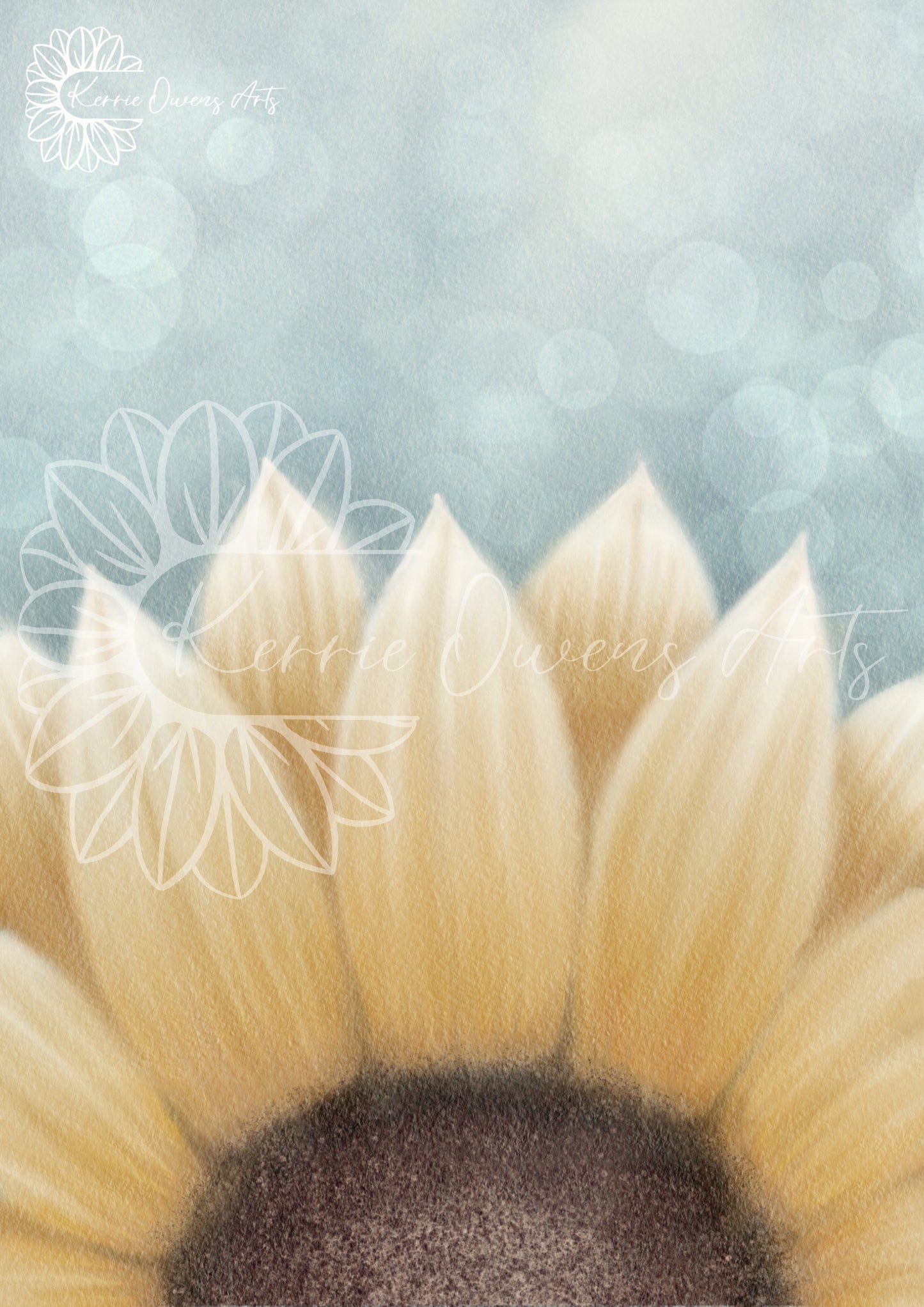 Fiadh's sunflower, printed, digital illustration.