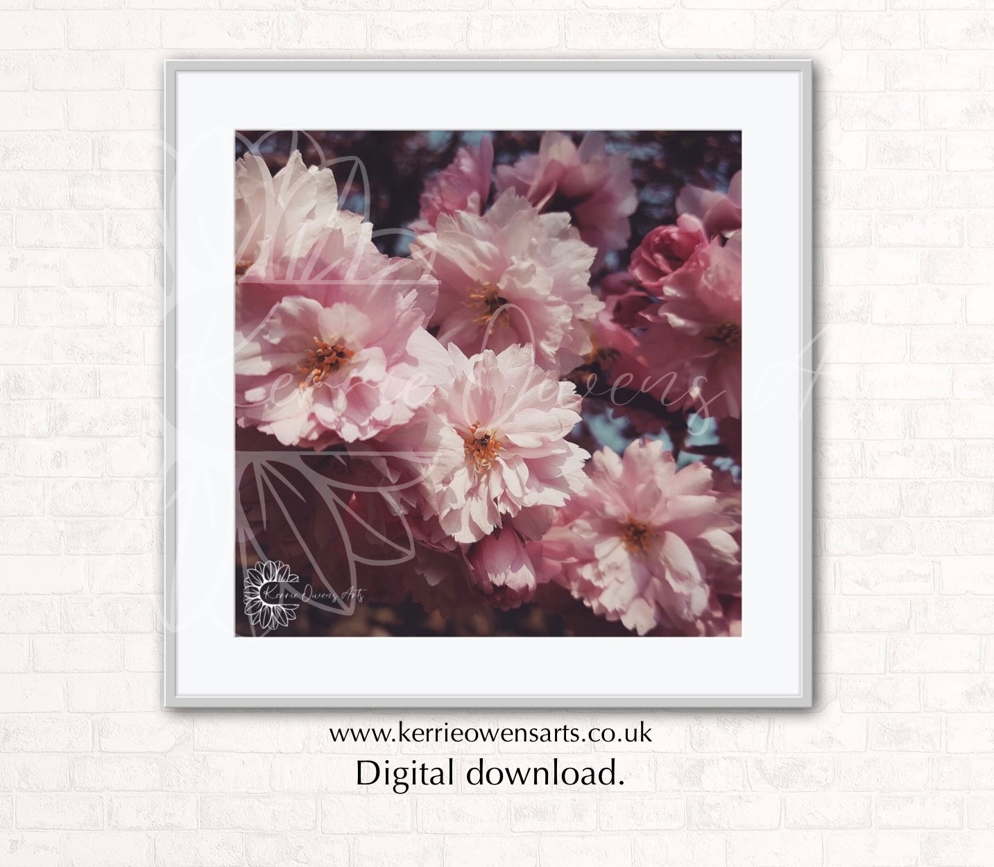 The cherry blossom photographic print, digital download.