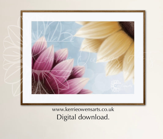 Pink and yellow sunflowers Illustration, digital download.