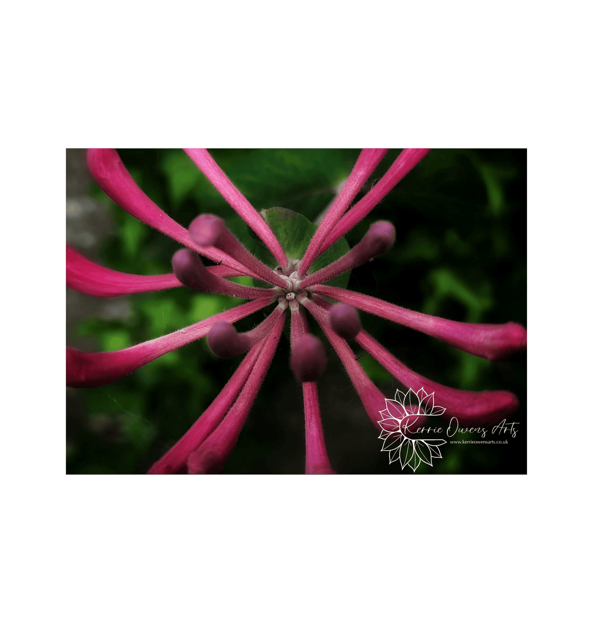 No Frame Framed art print Front